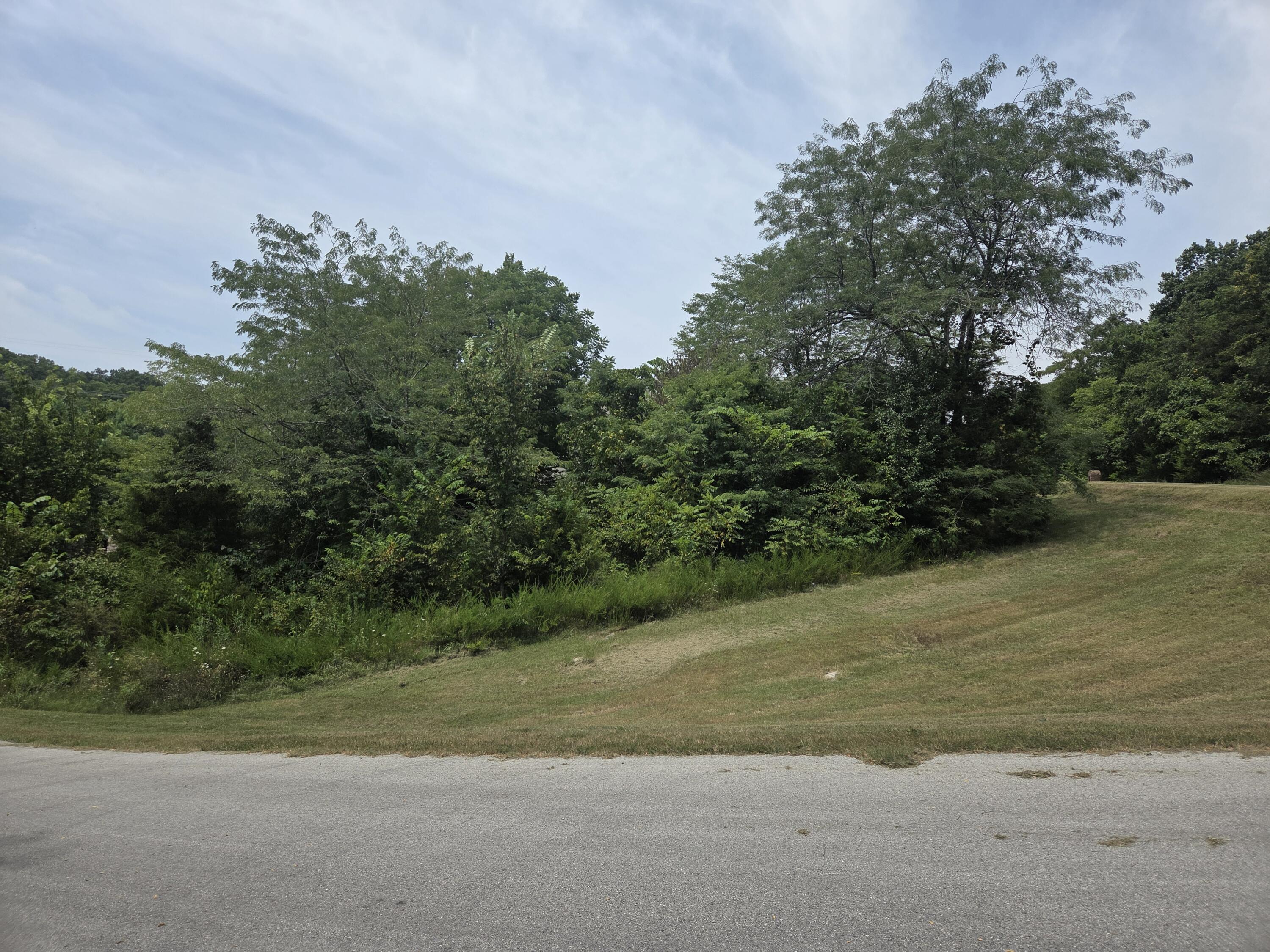 Photo 4 - Land for sale – Lot 30  Roark Branch Road   Branson West, MO
