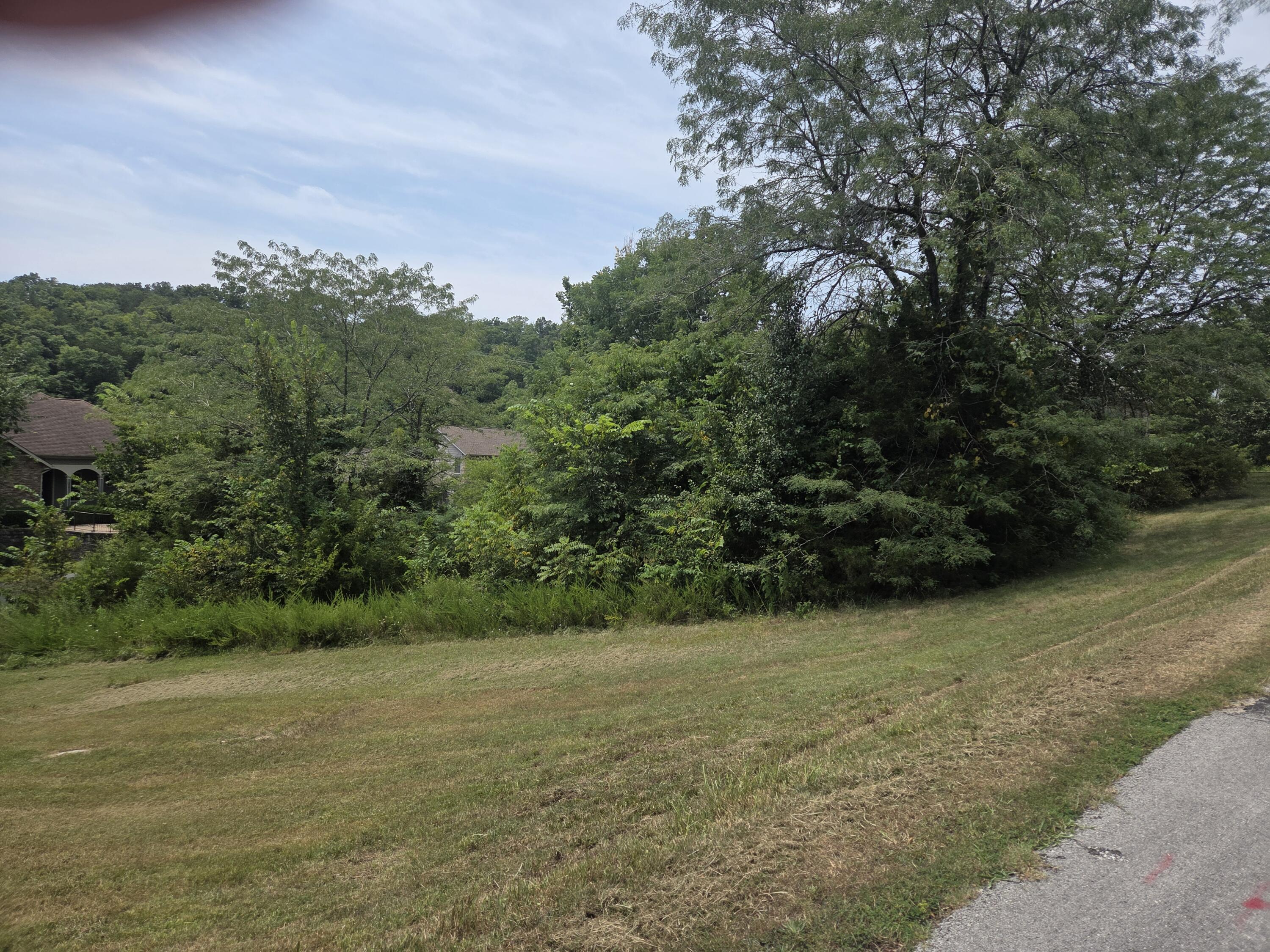 Photo 3 - Land for sale – Lot 30  Roark Branch Road   Branson West, MO