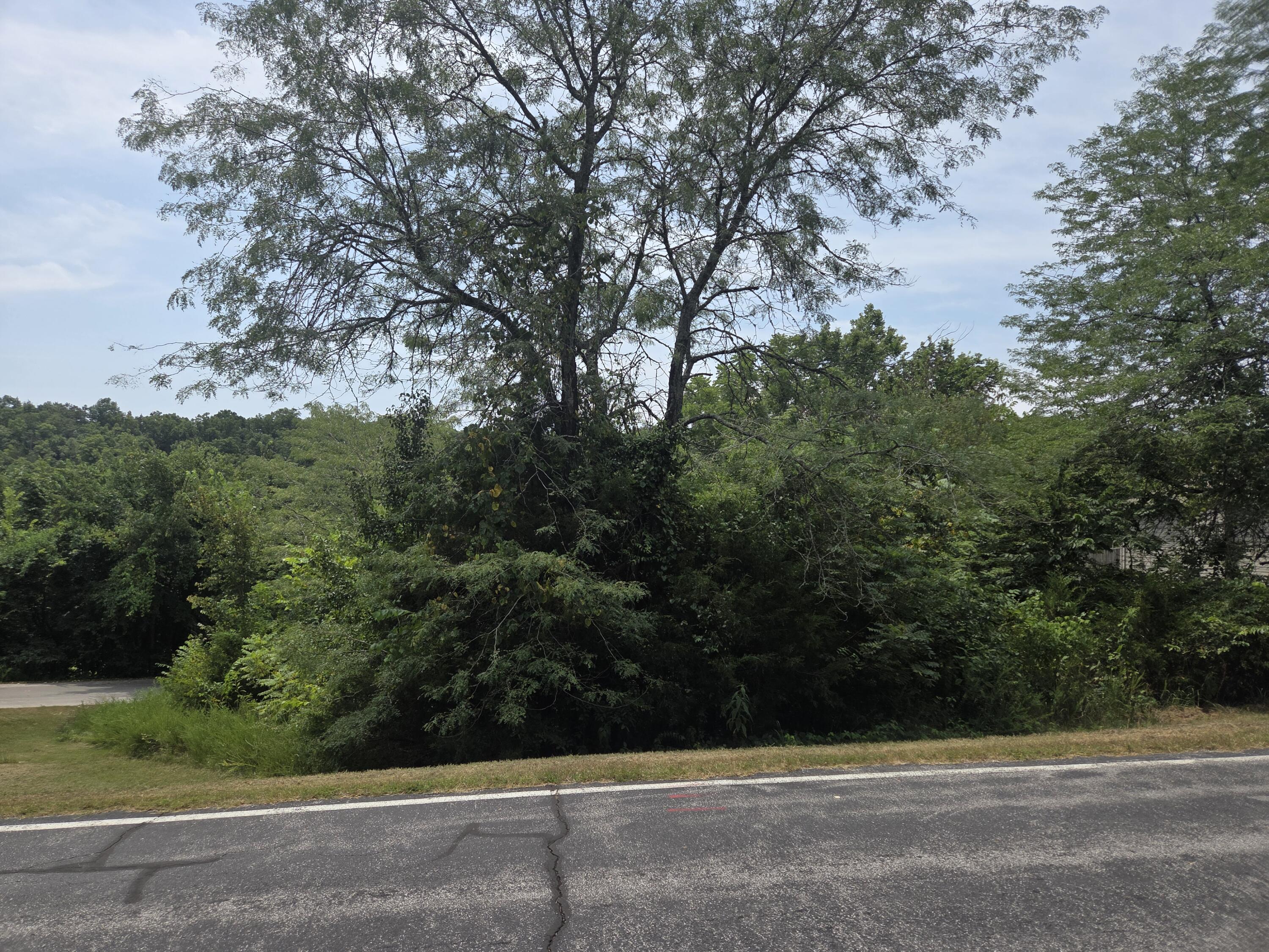 Land for sale – Lot 30  Roark Branch Road   Branson West, MO