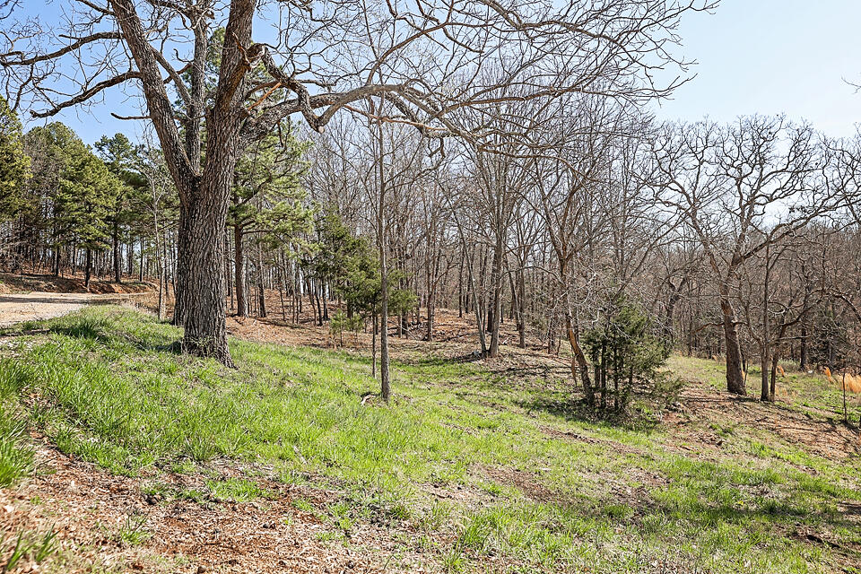 Photo 30 - Farm for sale – 25598  County Road C-228   Norwood, MO