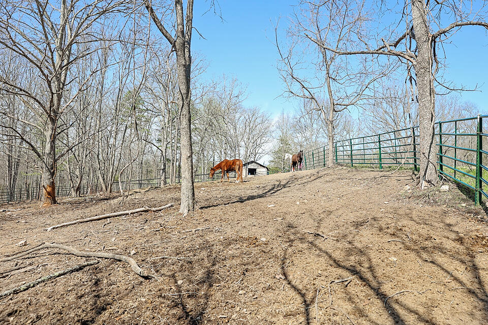 Photo 25 - Farm for sale – 25598  County Road C-228   Norwood, MO