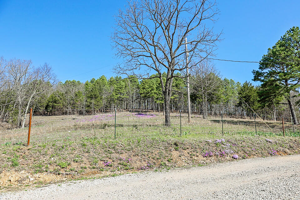 Photo 29 - Farm for sale – 25598  County Road C-228   Norwood, MO