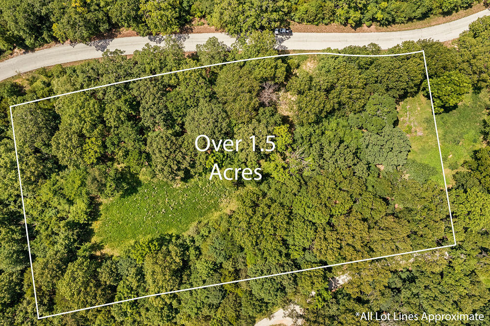 Photo 4 - Land for sale – 817  Hanging Branch Ridge   Cape Fair, MO
