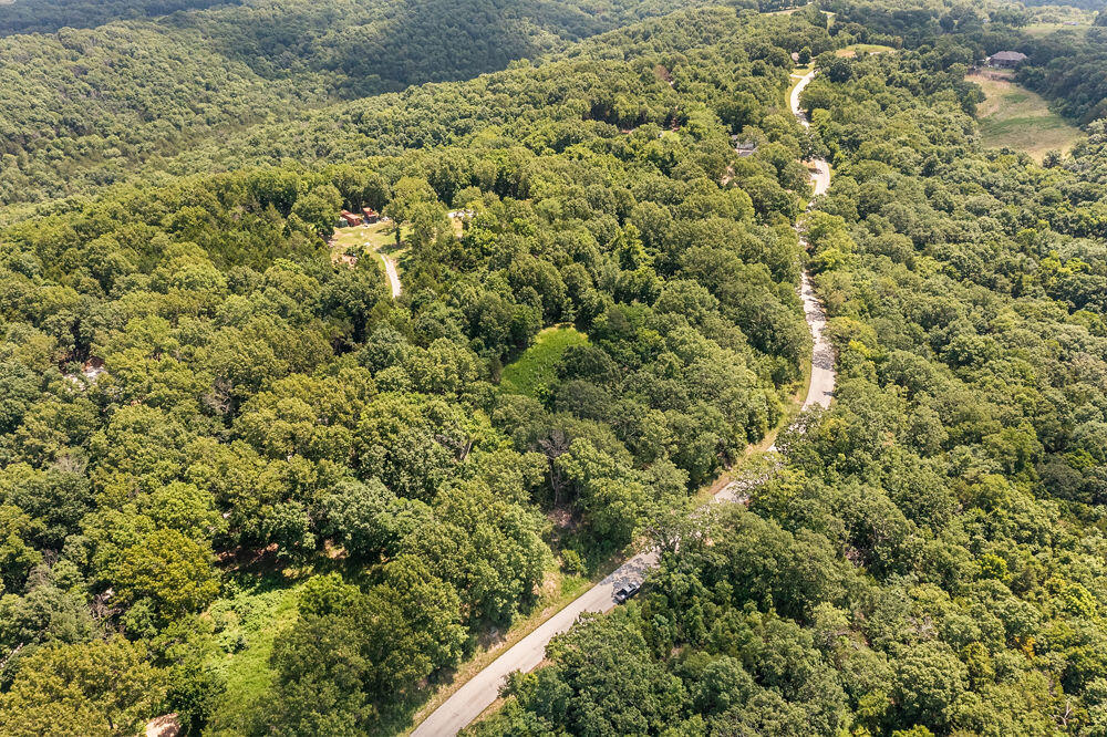 Photo 6 - Land for sale – 817  Hanging Branch Ridge   Cape Fair, MO