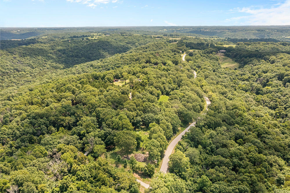 Photo 8 - Land for sale – 817  Hanging Branch Ridge   Cape Fair, MO