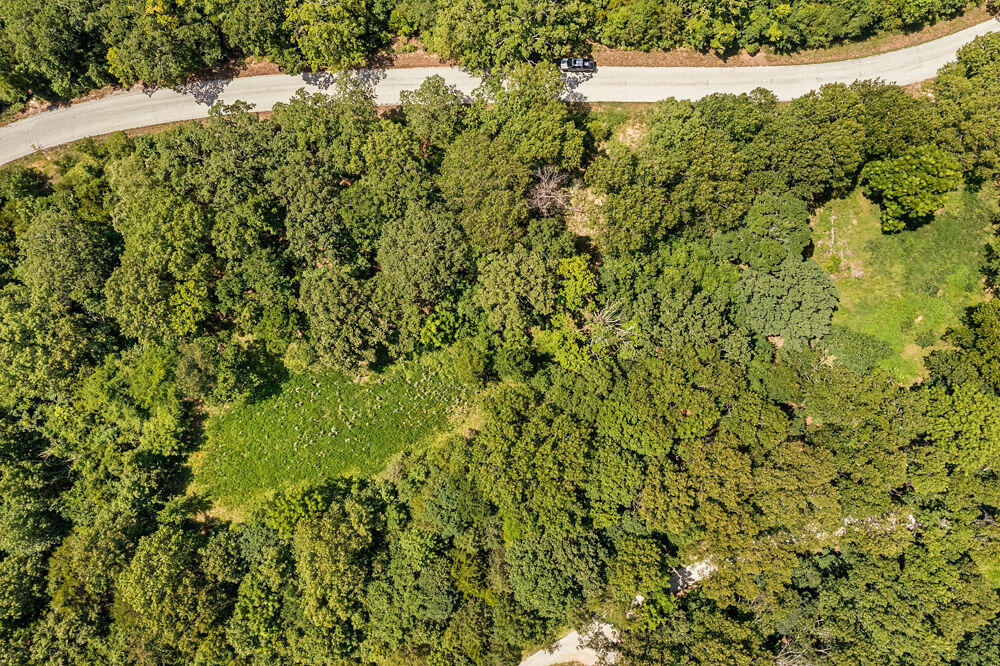Photo 10 - Land for sale – 817  Hanging Branch Ridge   Cape Fair, MO