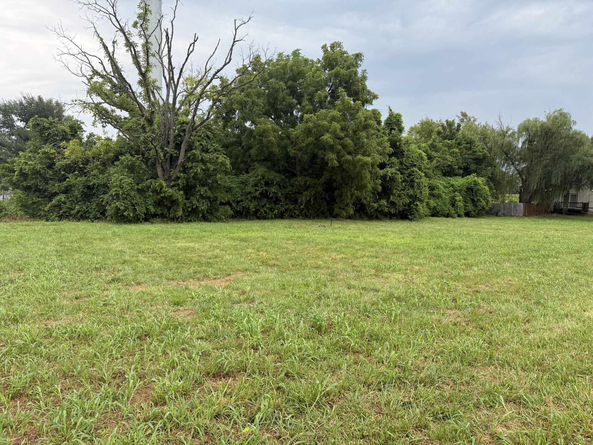 Photo 3 - Land for sale – 887 W State Hwy Nn   Ozark, MO