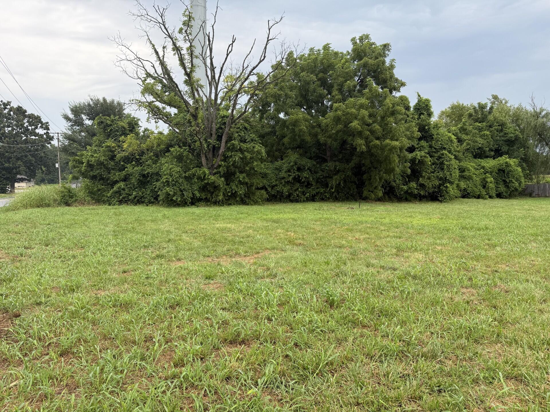 Land for sale – 887 W State Hwy Nn   Ozark, MO