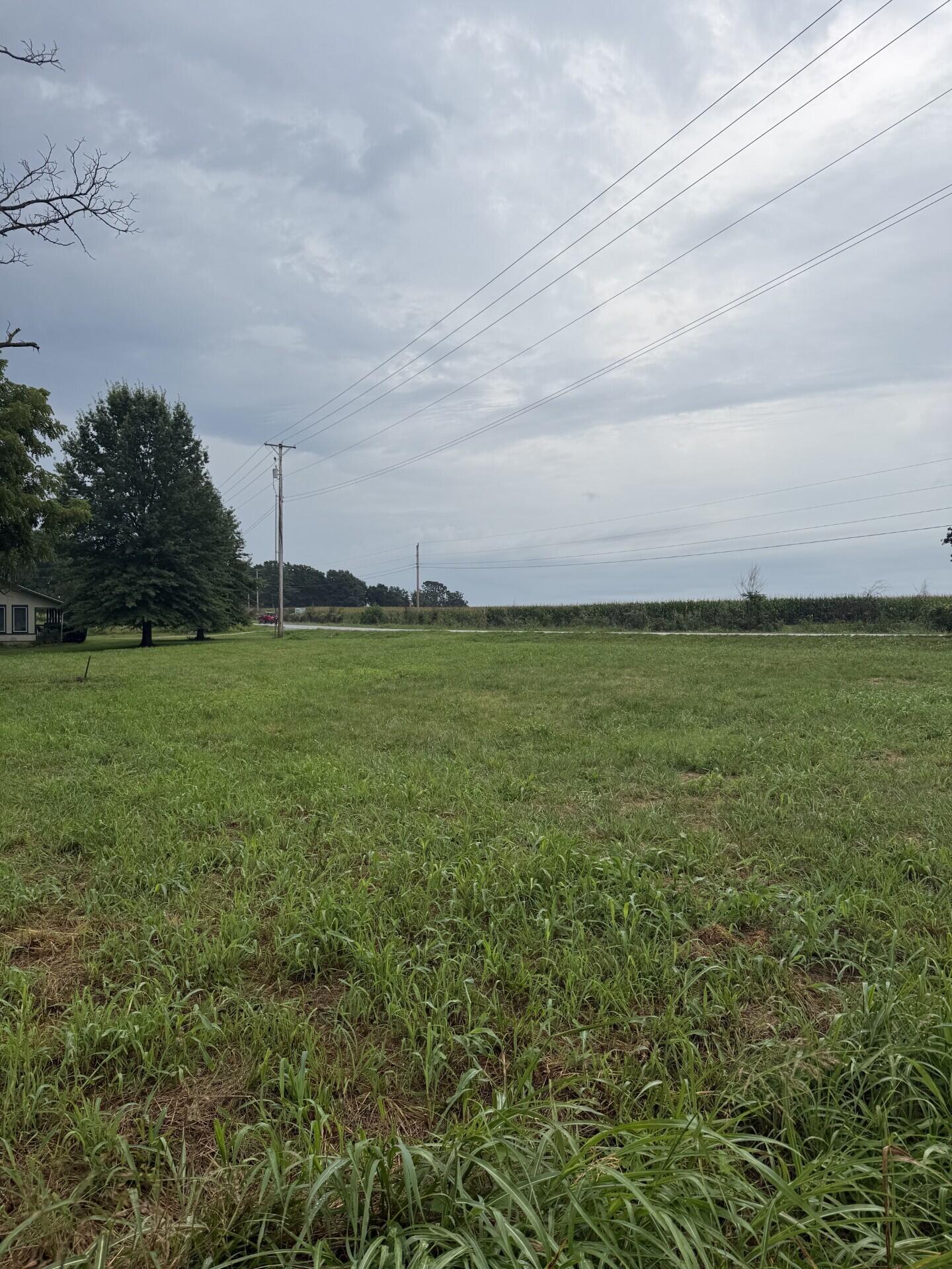 Photo 4 - Land for sale – 887 W State Hwy Nn   Ozark, MO