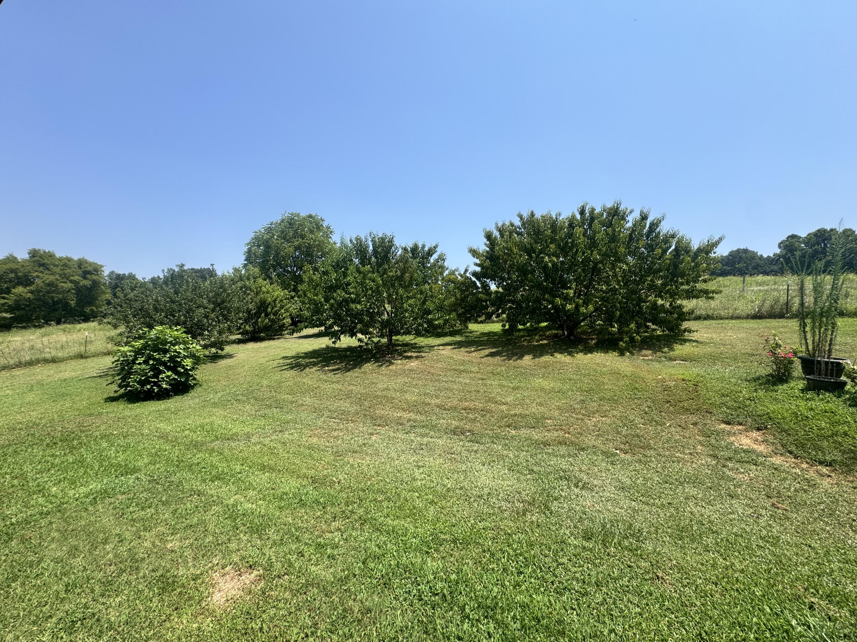 Photo 26 - Farm for sale – 7382  Route Ee Highway  Anderson, MO