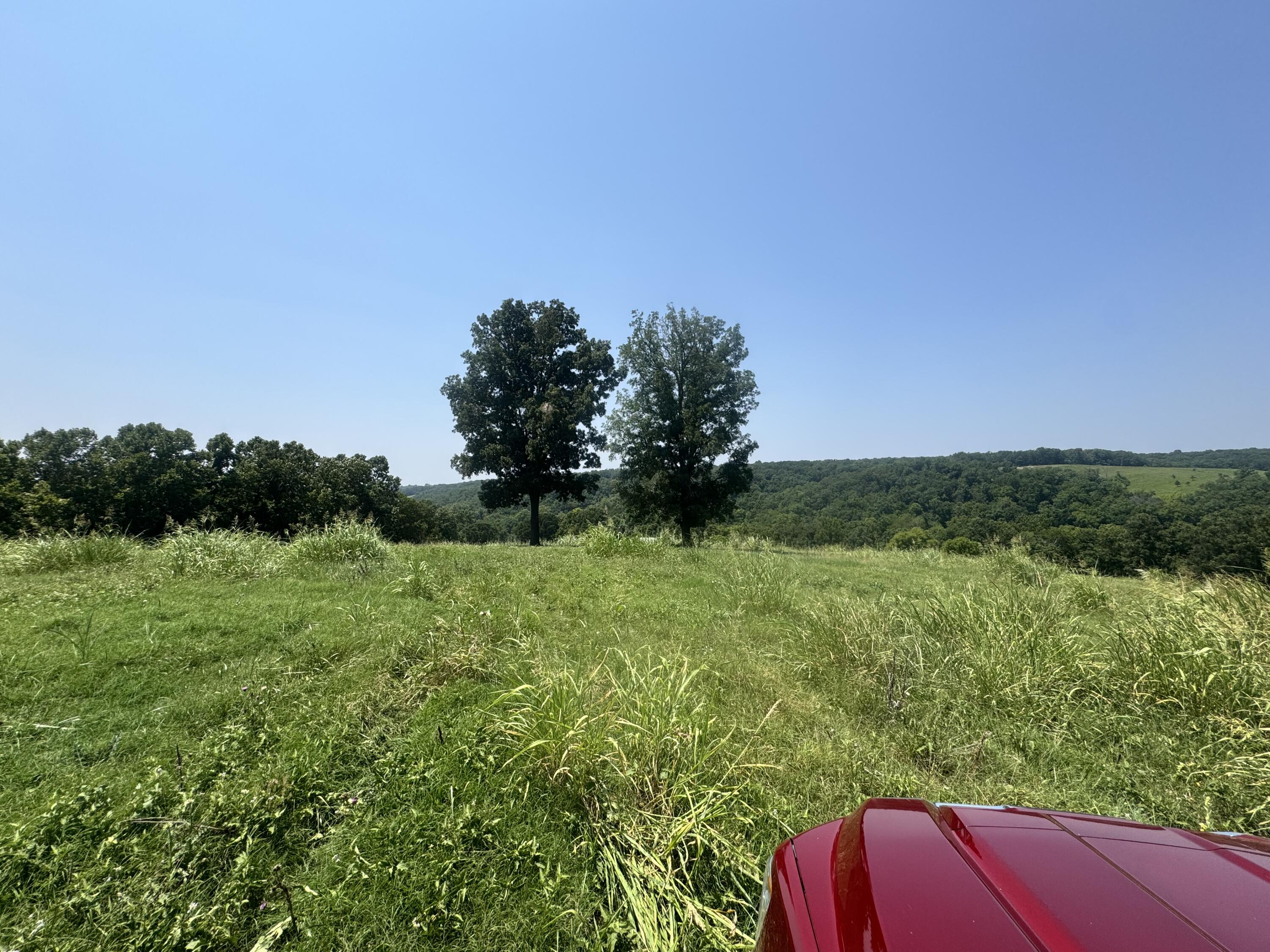 Photo 31 - Farm for sale – 7382  Route Ee Highway  Anderson, MO