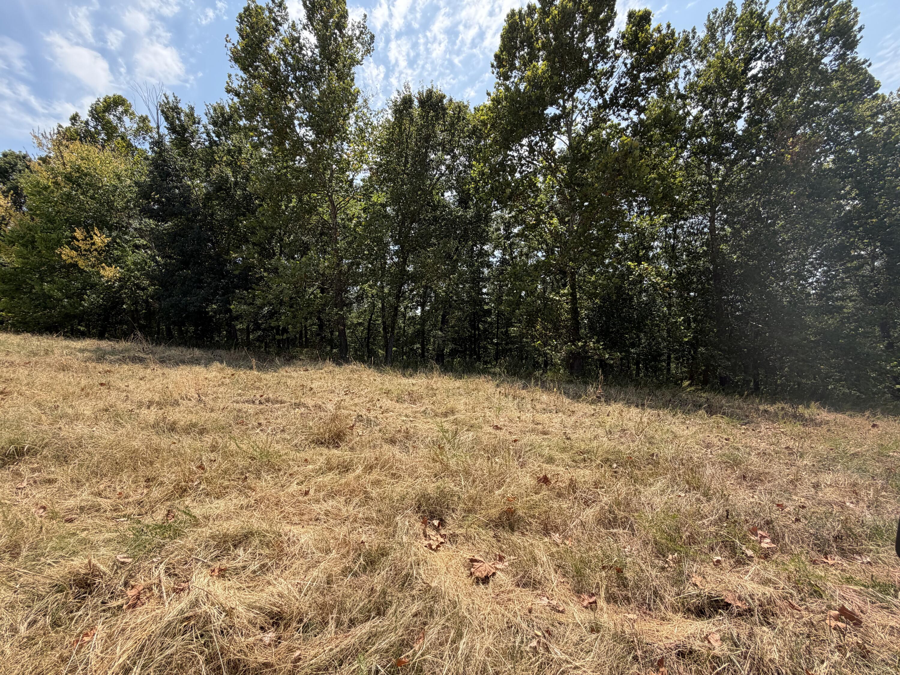 Photo 39 - Farm for sale – 7382  Route Ee Highway  Anderson, MO