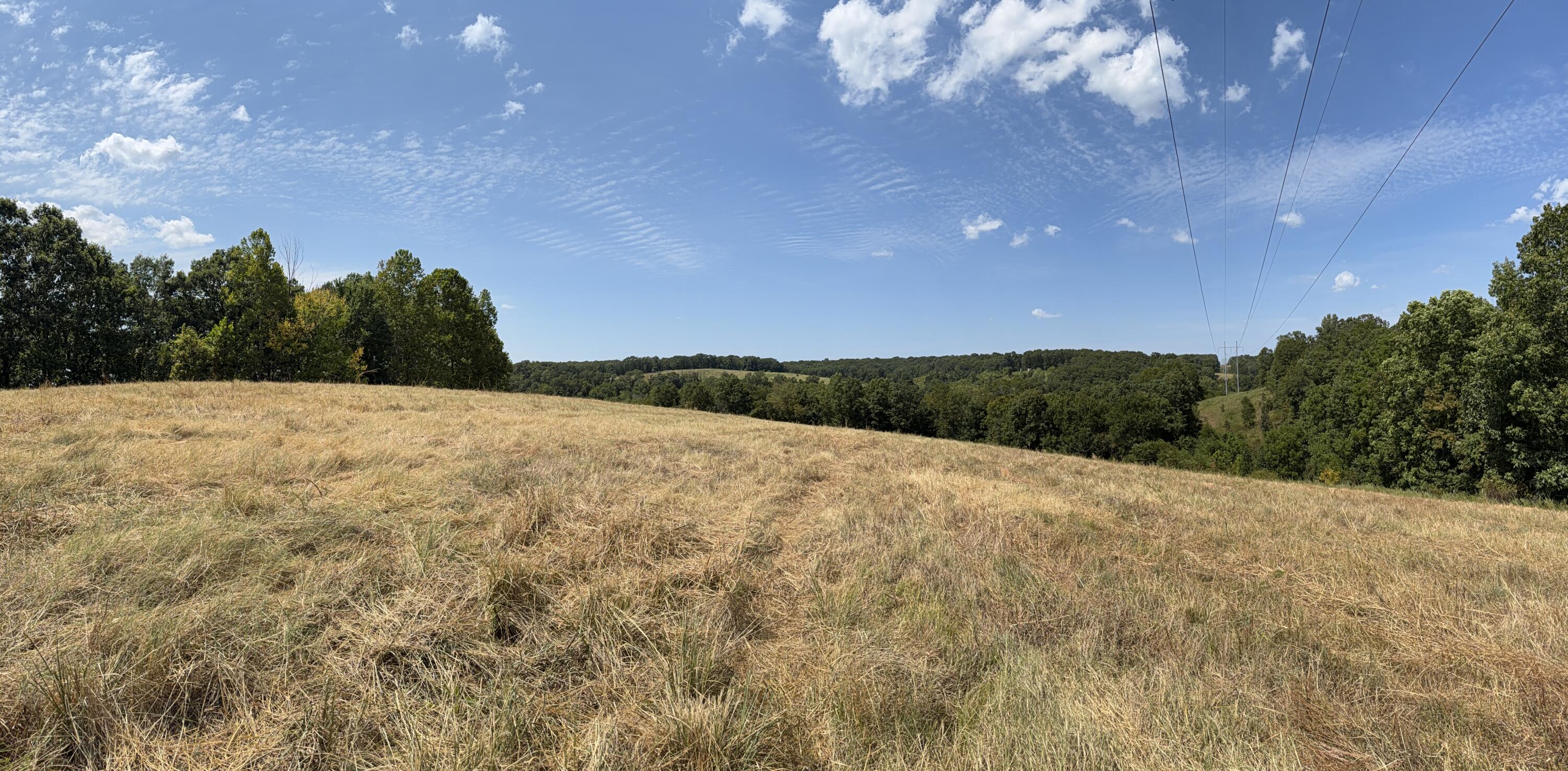 Photo 40 - Farm for sale – 7382  Route Ee Highway  Anderson, MO