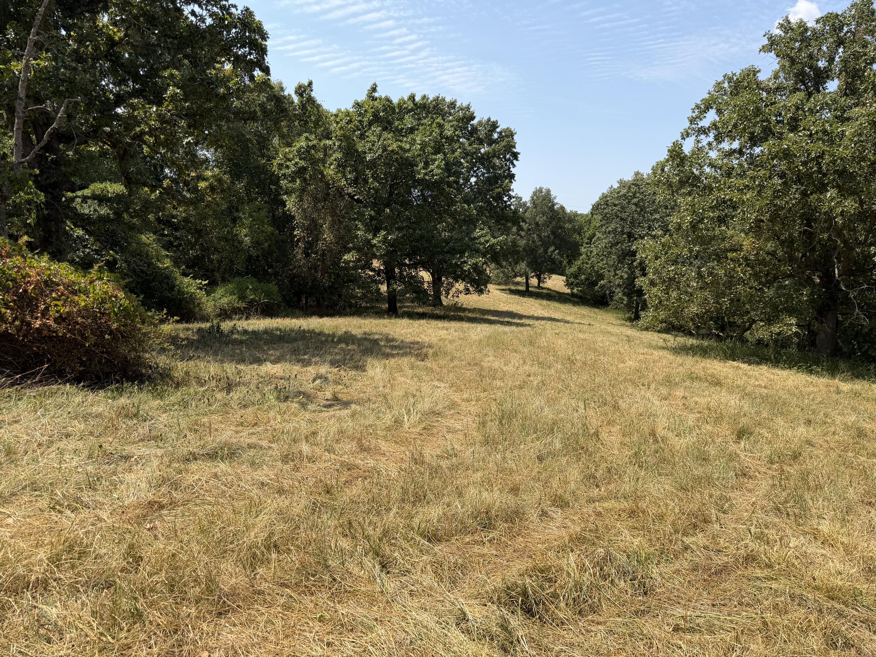 Photo 38 - Farm for sale – 7382  Route Ee Highway  Anderson, MO