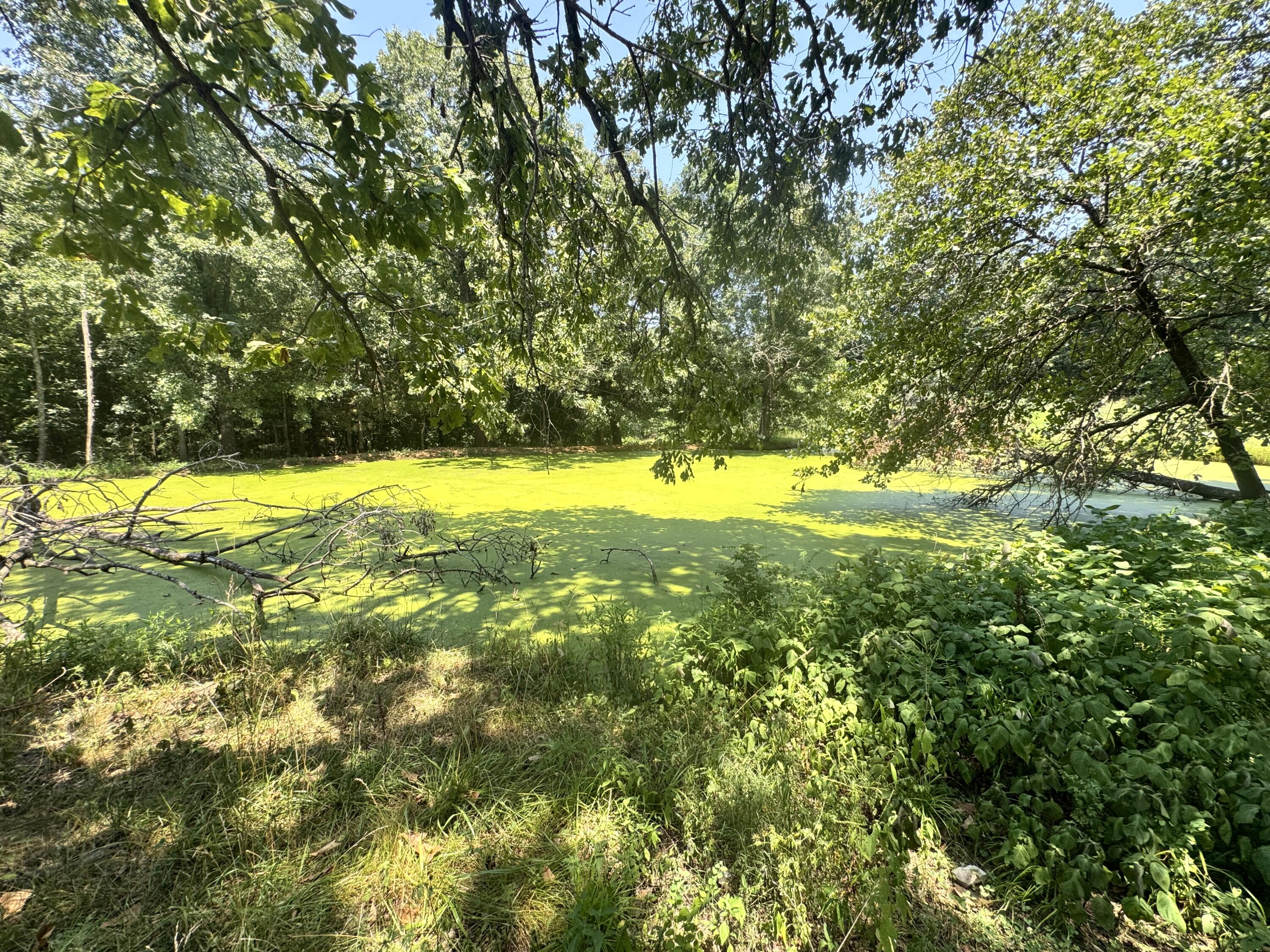 Photo 30 - Farm for sale – 7382  Route Ee Highway  Anderson, MO