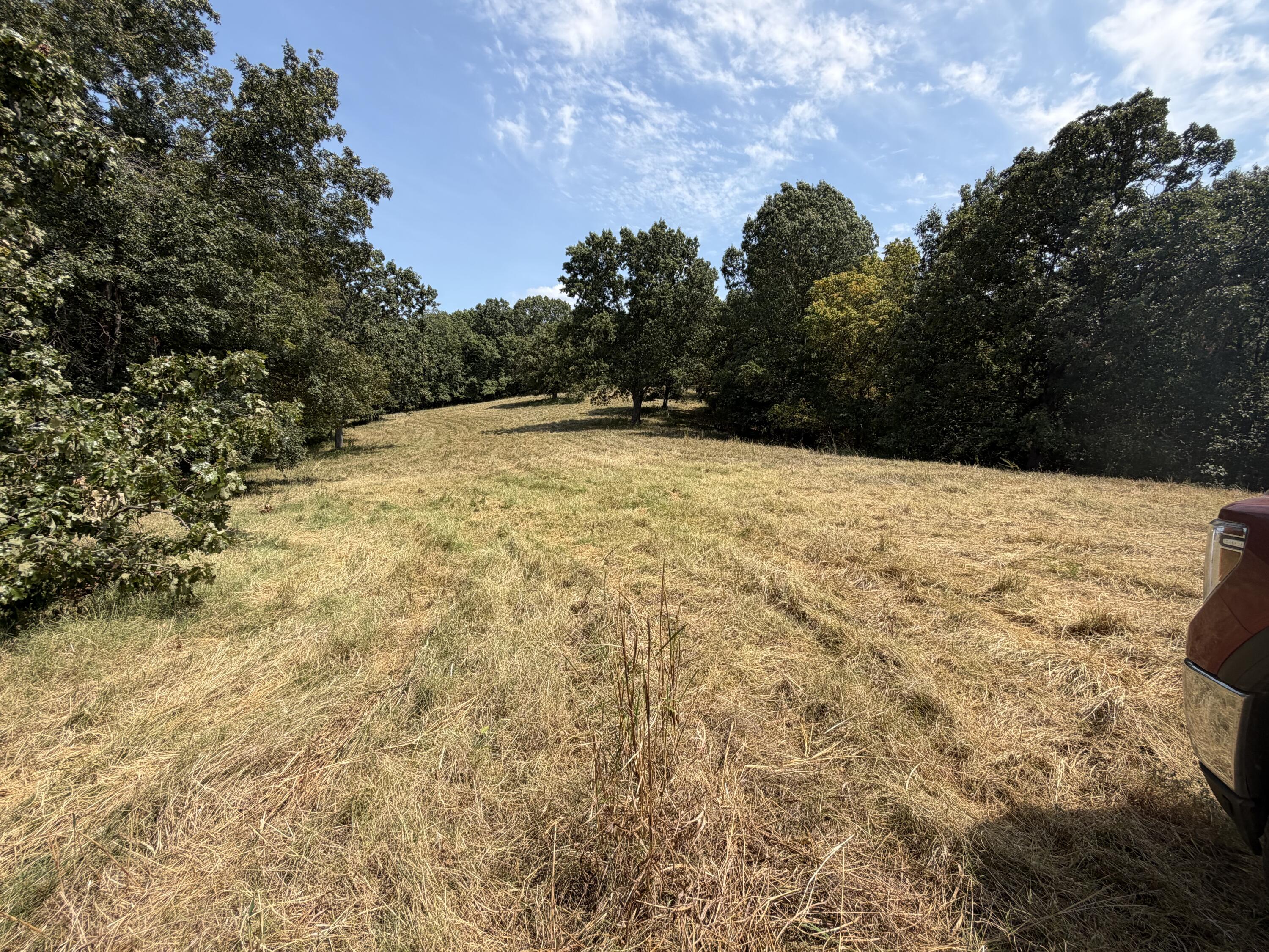 Photo 41 - Farm for sale – 7382  Route Ee Highway  Anderson, MO