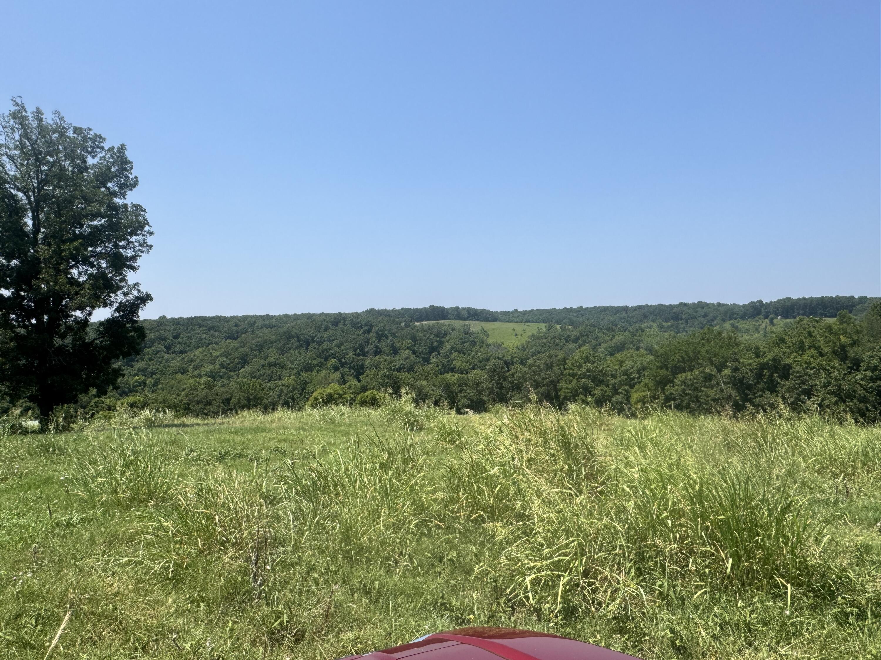Photo 32 - Farm for sale – 7382  Route Ee Highway  Anderson, MO