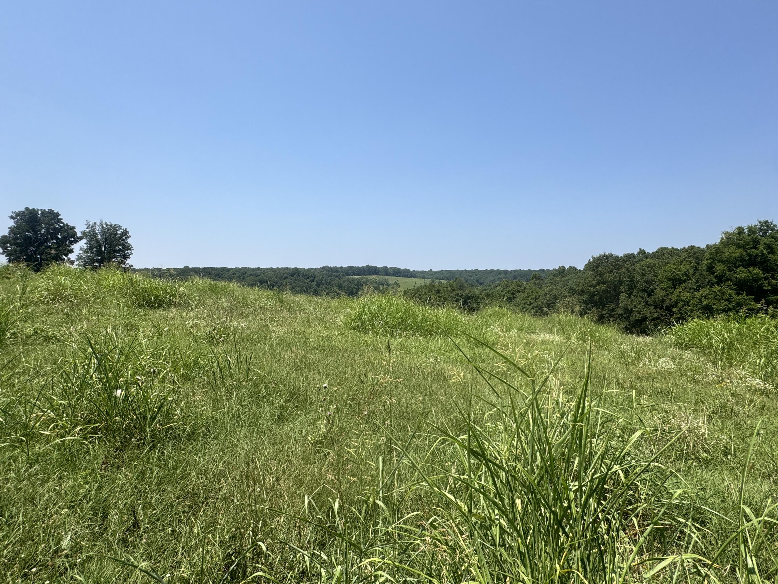 Photo 29 - Farm for sale – 7382  Route Ee Highway  Anderson, MO