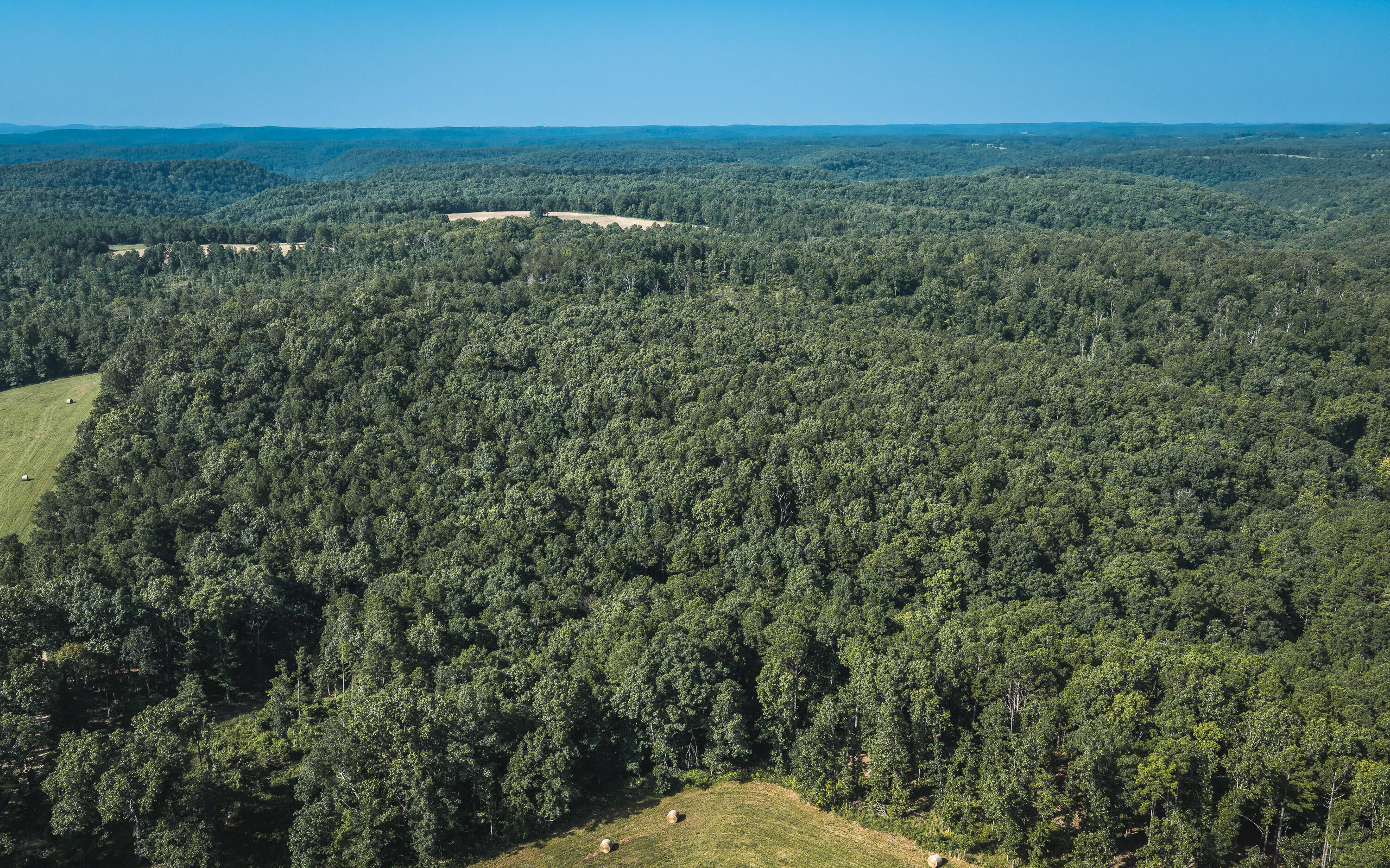 Photo 4 - Land for sale – Tract 2  Private Drive  Norwood, MO
