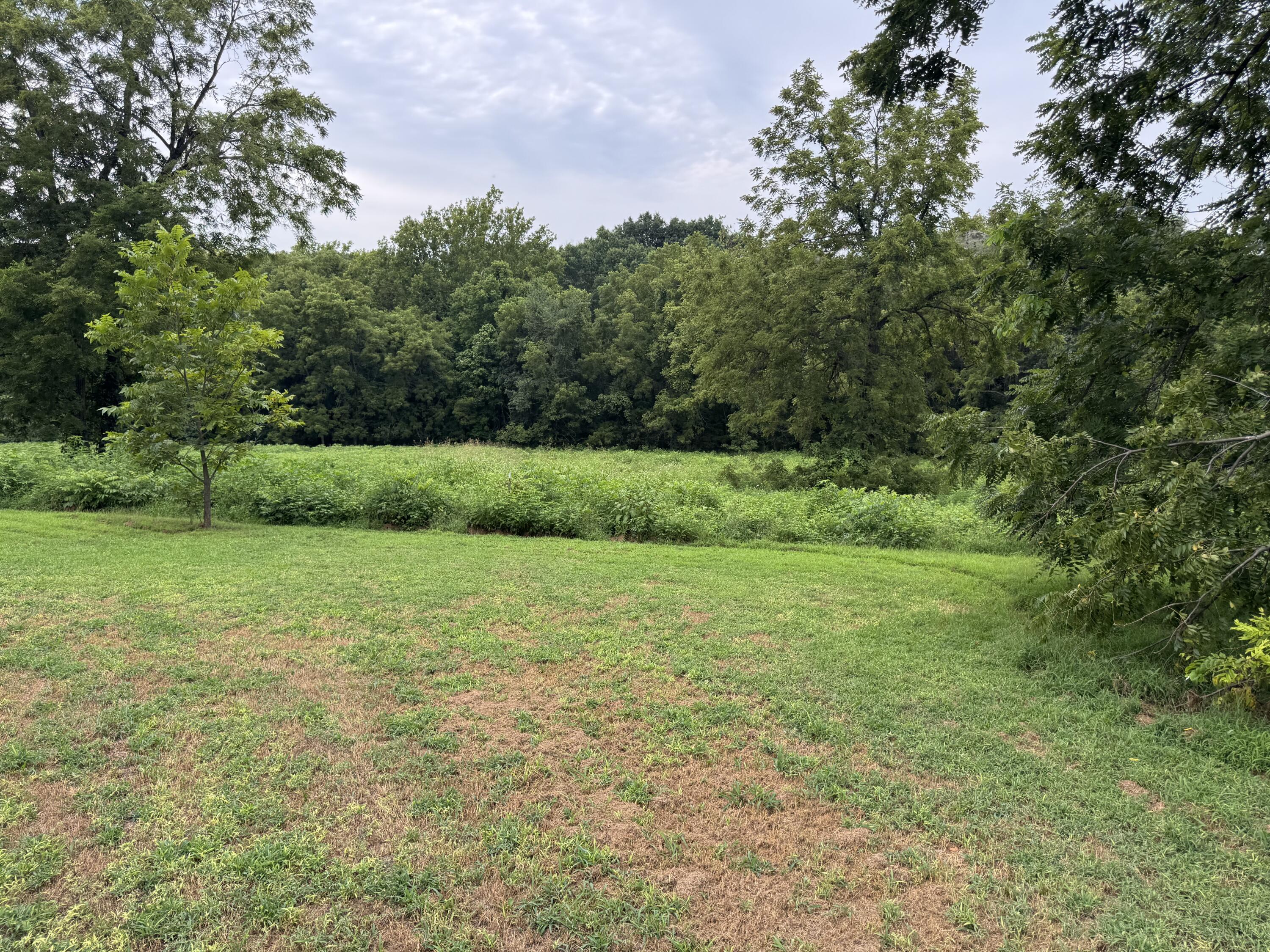 Photo 8 - Residential for sale – 172 S Dade 249   Walnut Grove, MO