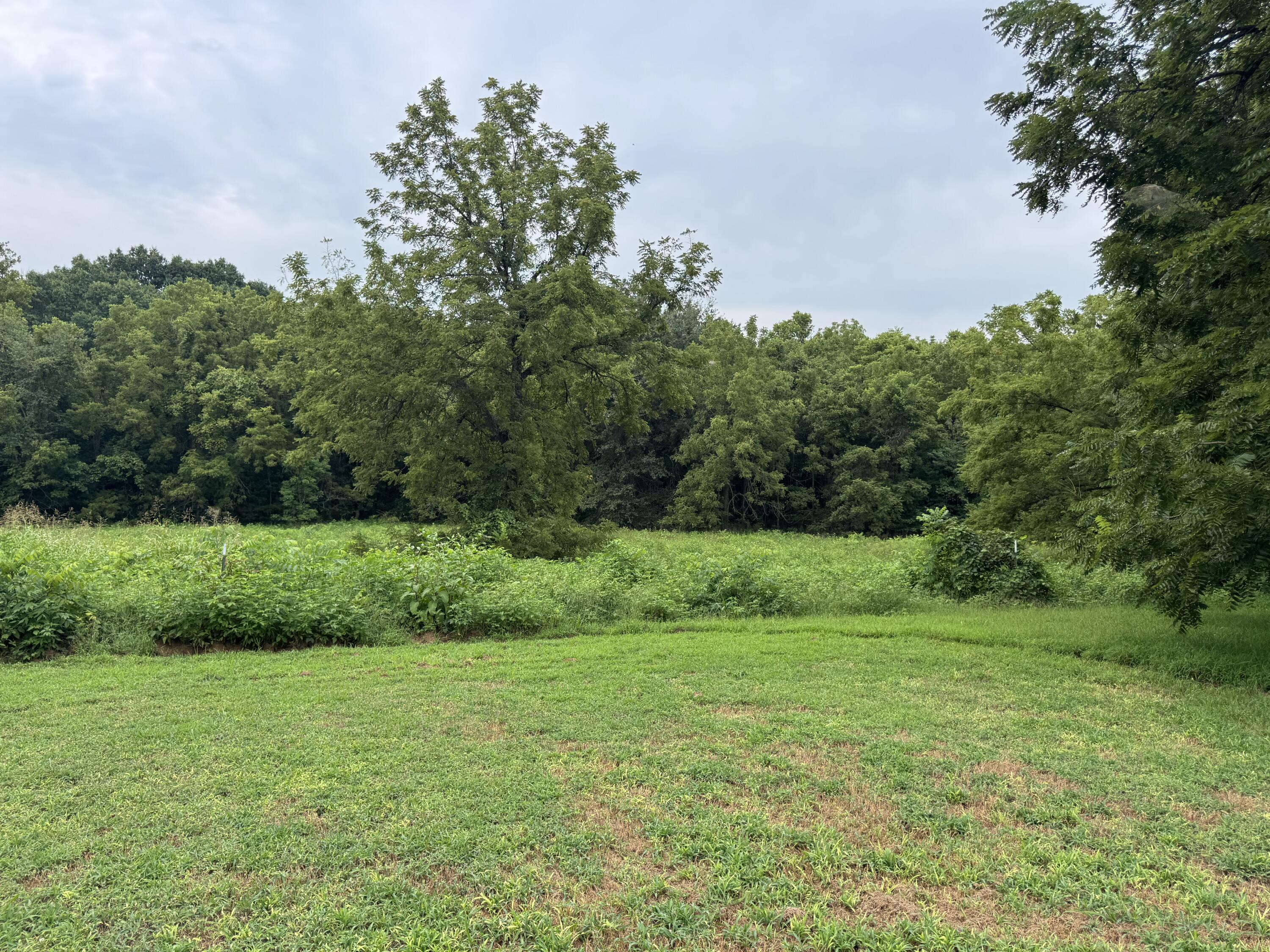 Photo 3 - Residential for sale – 172 S Dade 249   Walnut Grove, MO