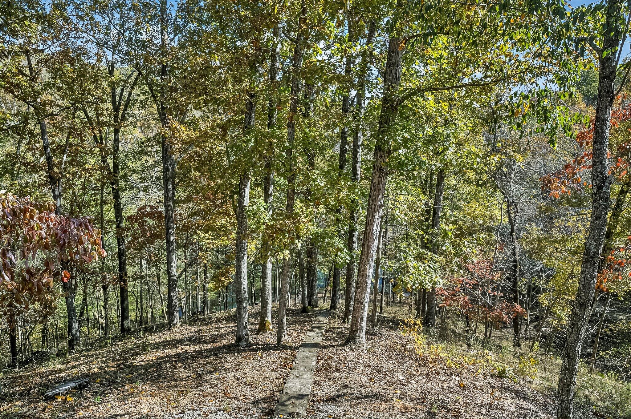 Photo 79 - Farm for sale – 3378  Warner Road  Crane, MO