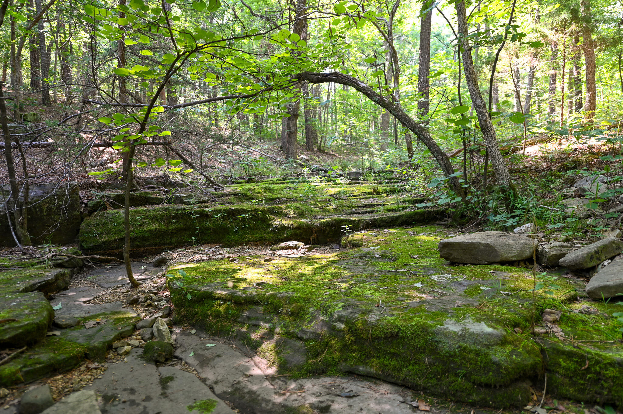 Photo 20 - Land for sale – Tbd  Lynch Drive  Bucyrus, MO