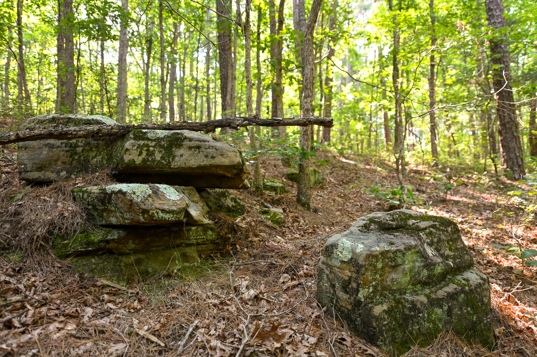 Photo 22 - Land for sale – Tbd  Lynch Drive  Bucyrus, MO