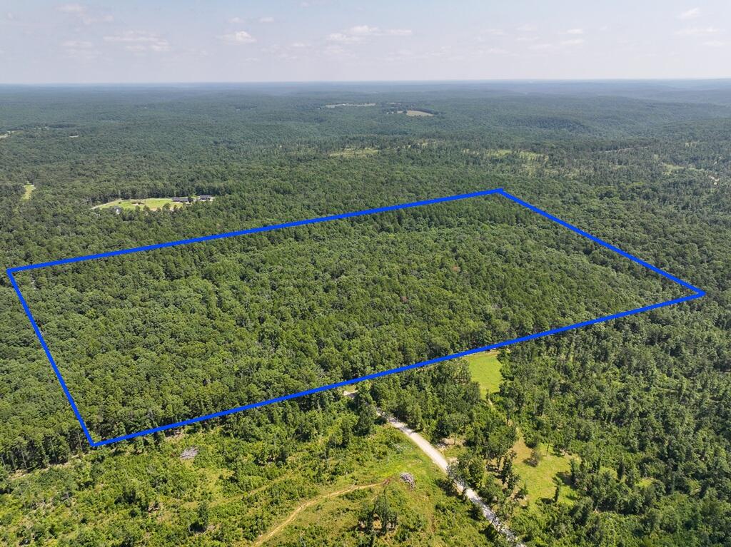 Photo 3 - Land for sale – Tbd  Lynch Drive  Bucyrus, MO