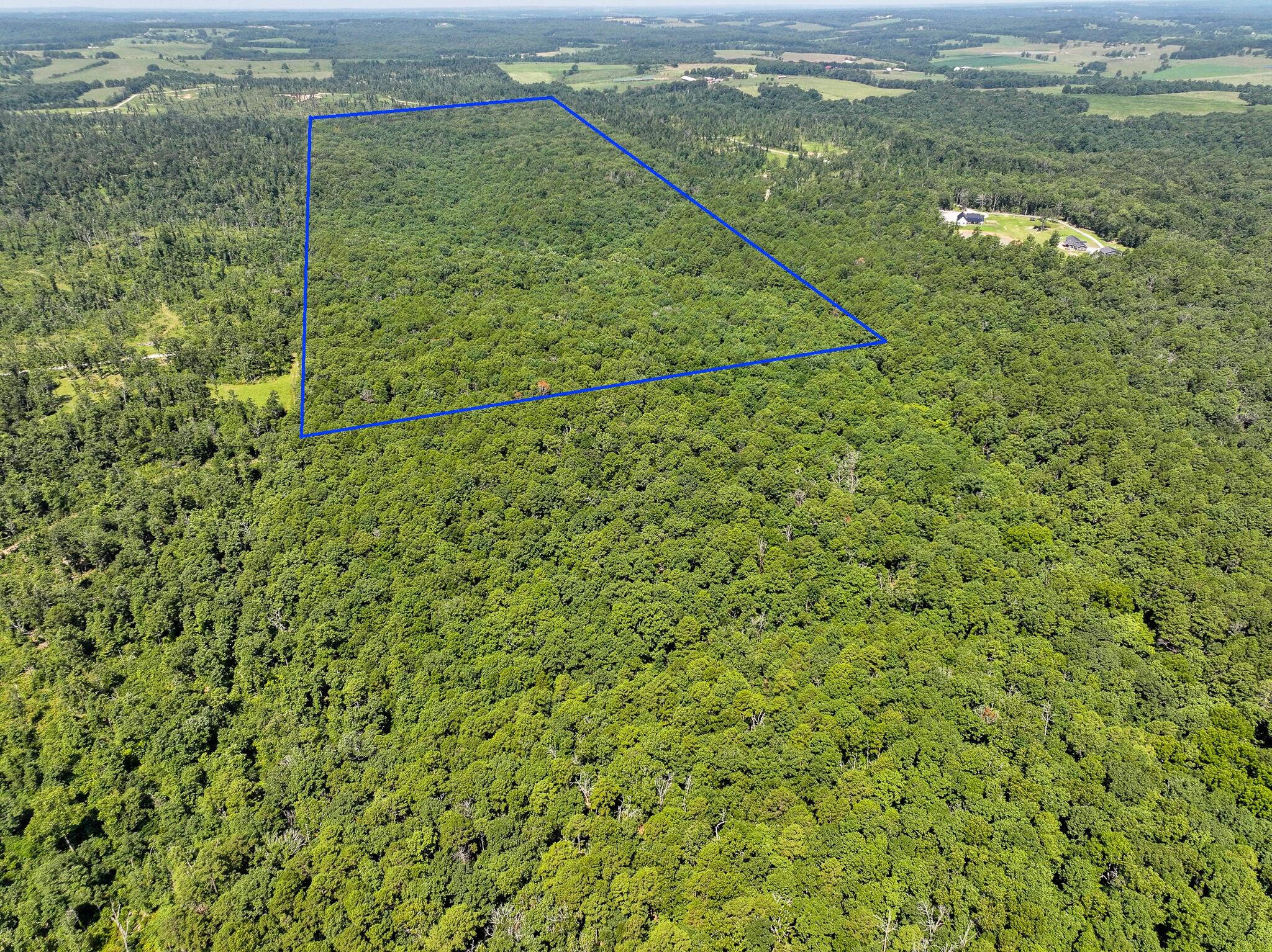 Photo 4 - Land for sale – Tbd  Lynch Drive  Bucyrus, MO