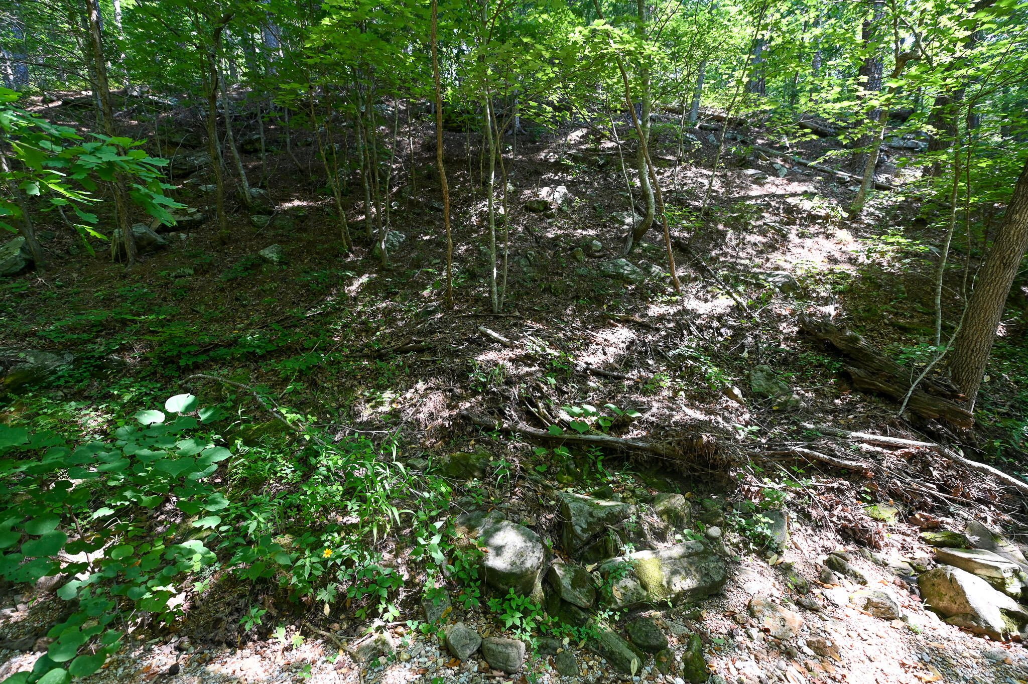 Photo 28 - Land for sale – Tbd  Lynch Drive  Bucyrus, MO
