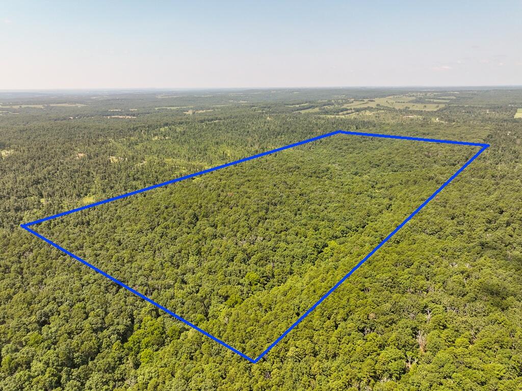 Photo 5 - Land for sale – Tbd  Lynch Drive  Bucyrus, MO