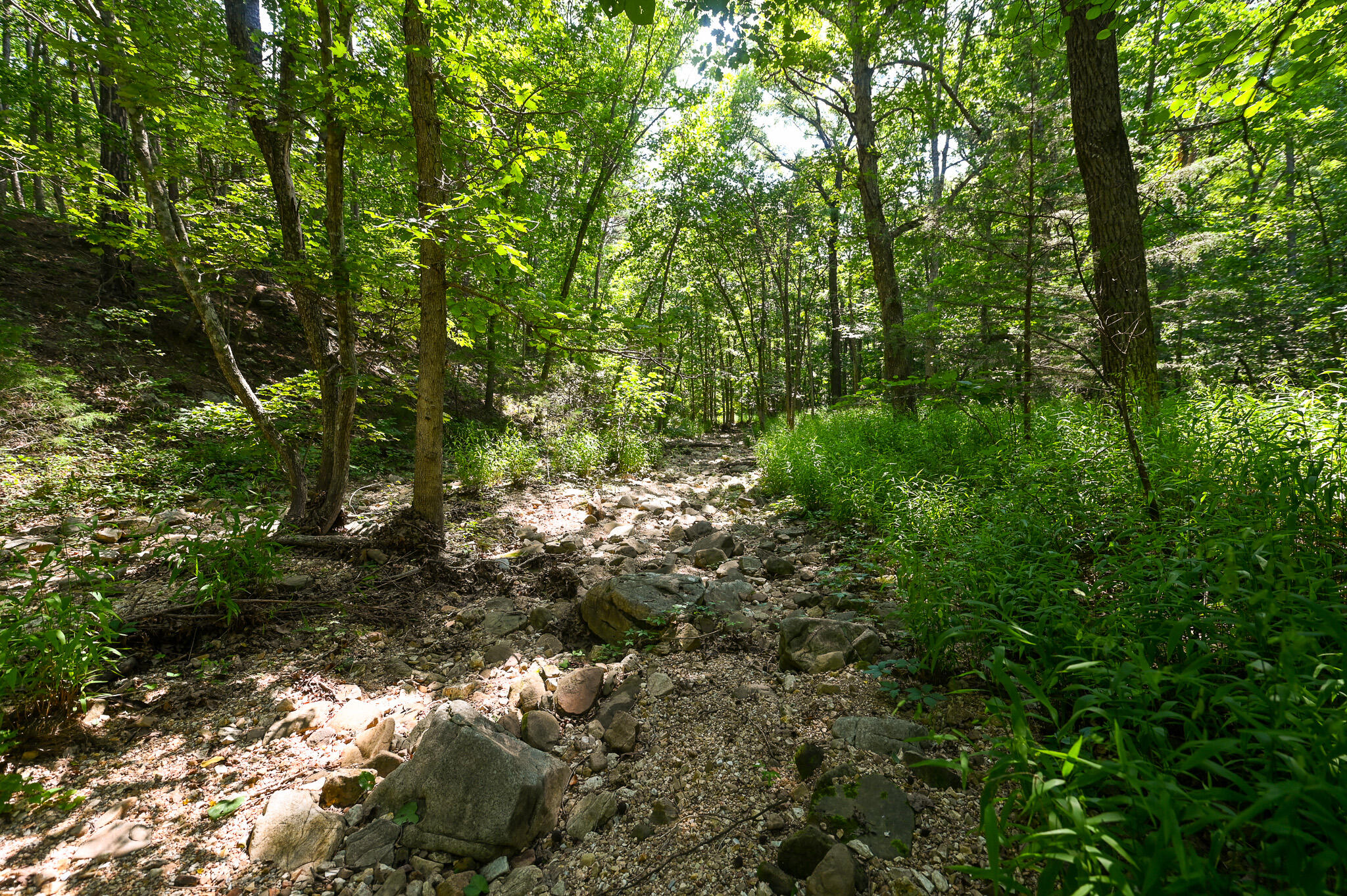 Photo 27 - Land for sale – Tbd  Lynch Drive  Bucyrus, MO