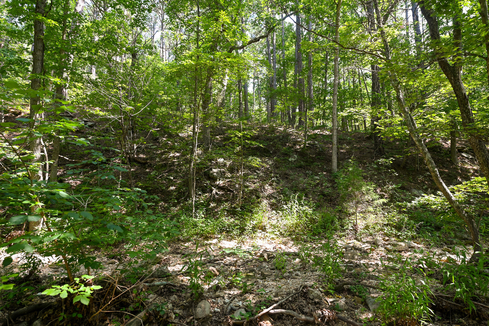 Photo 26 - Land for sale – Tbd  Lynch Drive  Bucyrus, MO