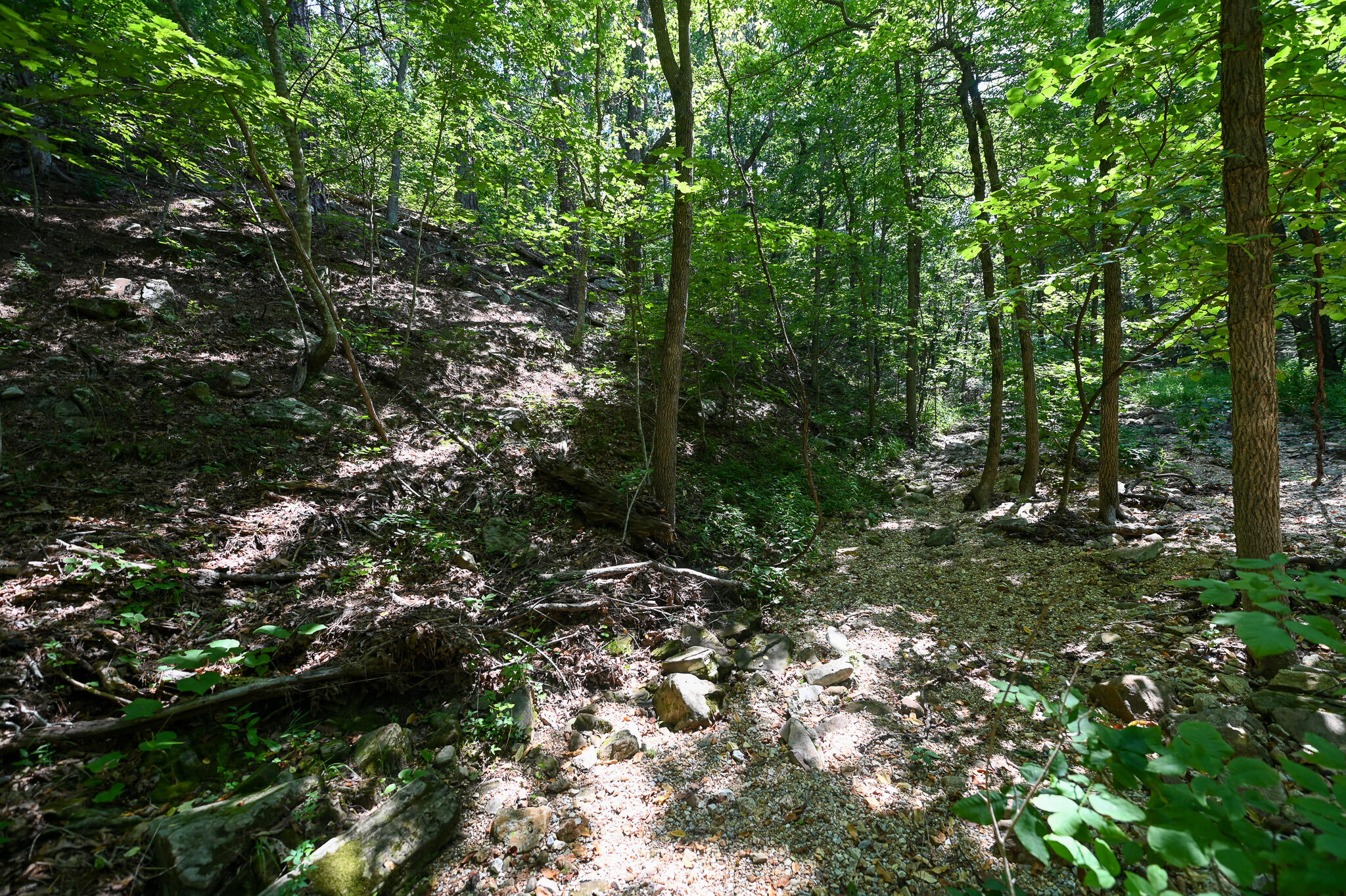 Photo 29 - Land for sale – Tbd  Lynch Drive  Bucyrus, MO