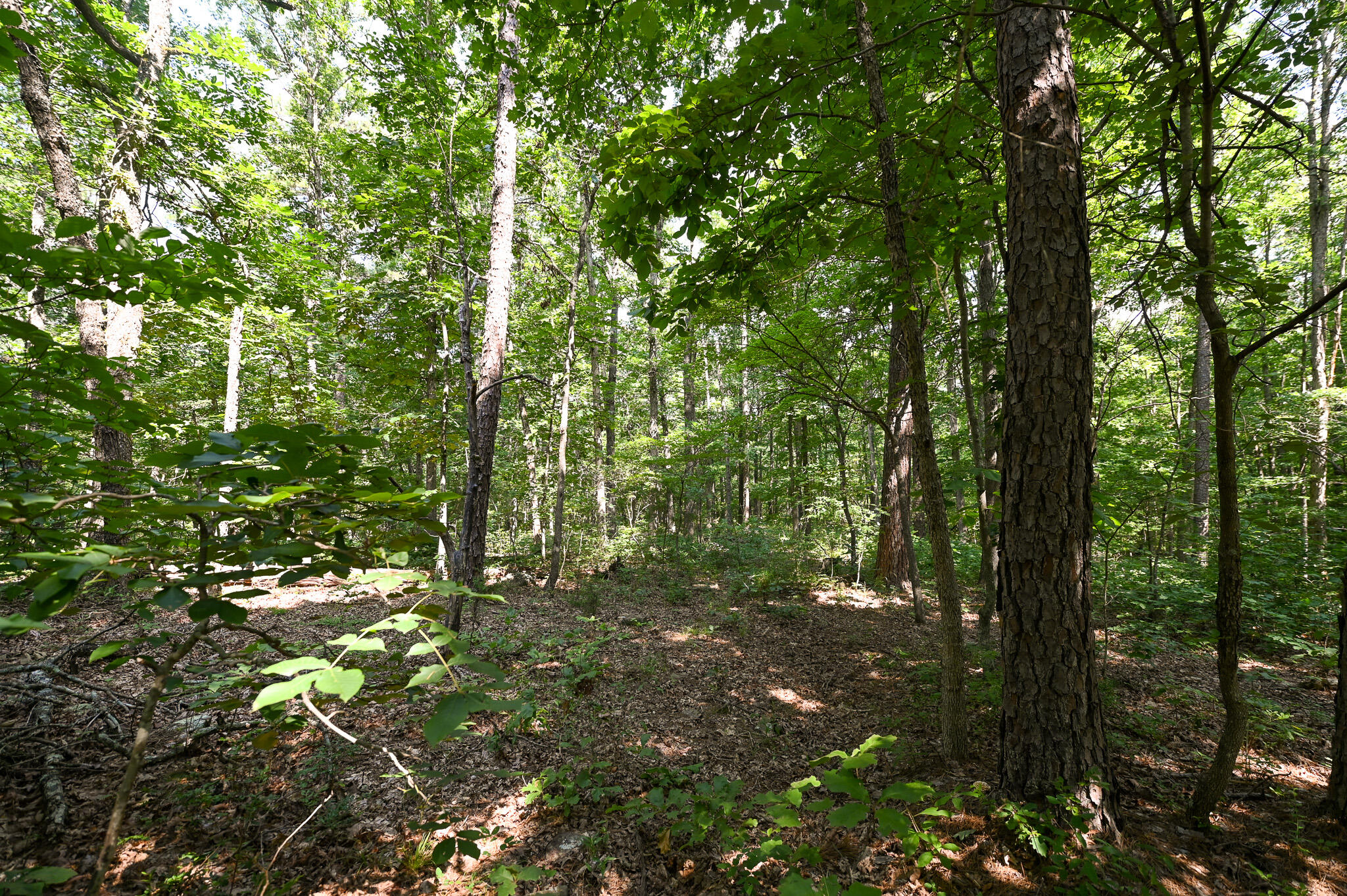 Photo 23 - Land for sale – Tbd  Lynch Drive  Bucyrus, MO