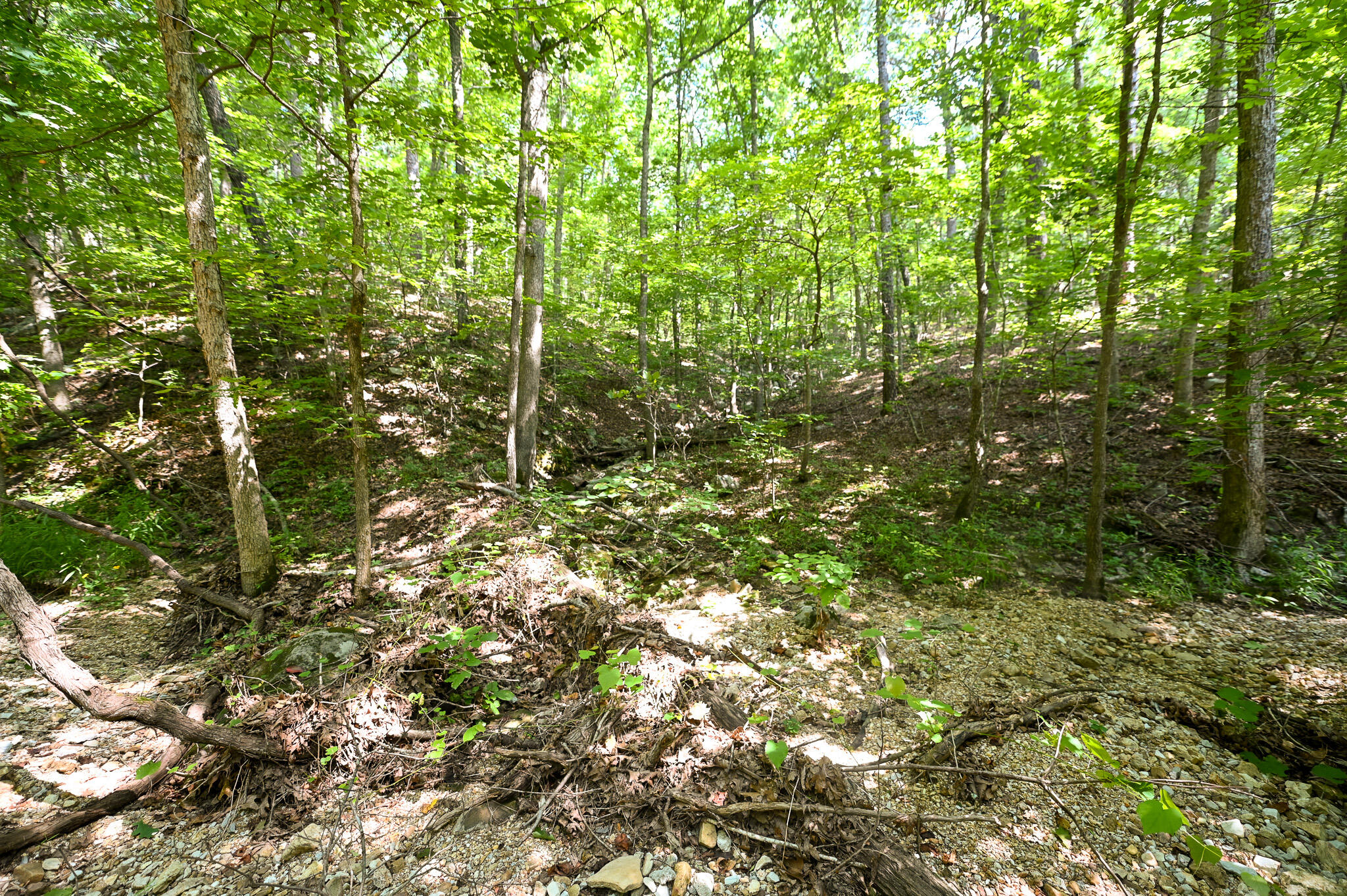 Photo 32 - Land for sale – Tbd  Lynch Drive  Bucyrus, MO