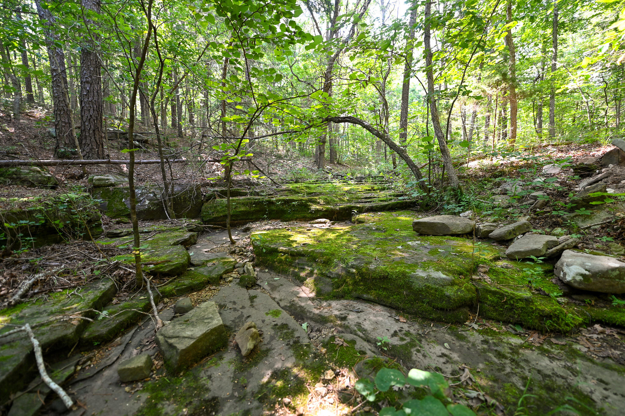 Photo 21 - Land for sale – Tbd  Lynch Drive  Bucyrus, MO