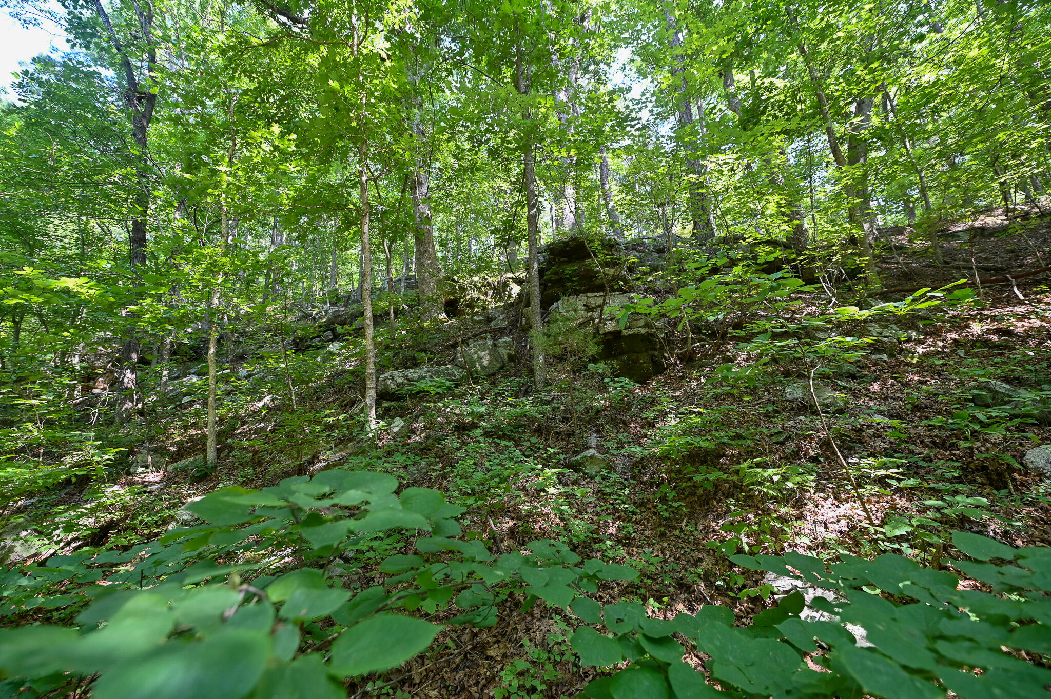 Photo 34 - Land for sale – Tbd  Lynch Drive  Bucyrus, MO