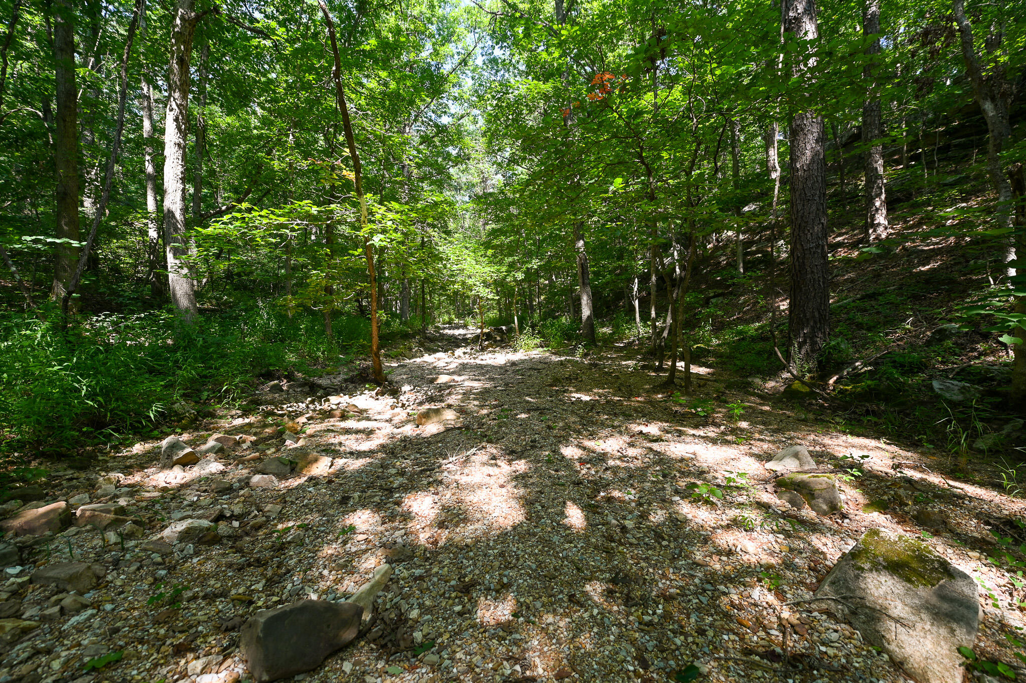 Photo 31 - Land for sale – Tbd  Lynch Drive  Bucyrus, MO