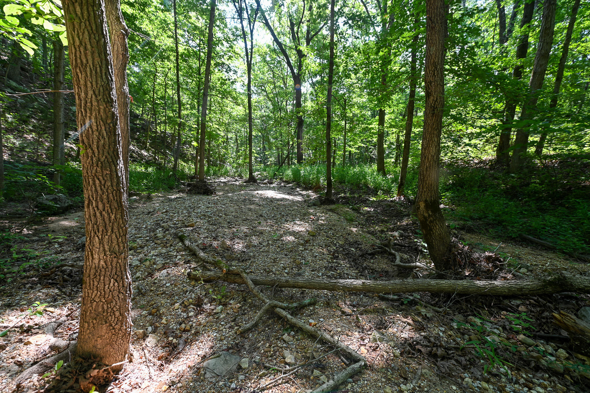 Photo 30 - Land for sale – Tbd  Lynch Drive  Bucyrus, MO