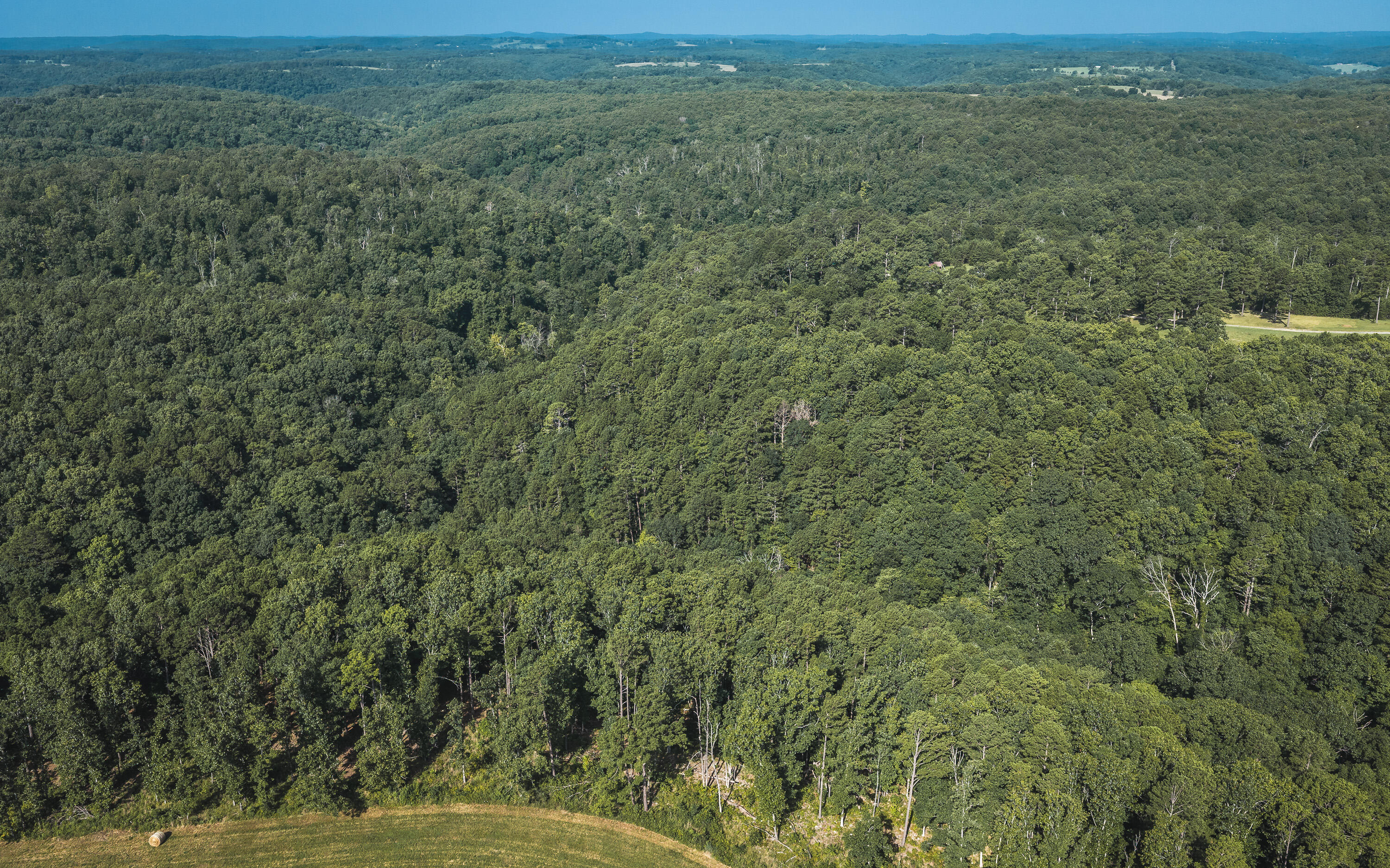 Photo 2 - Land for sale – Tract 3  Private Drive  Norwood, MO