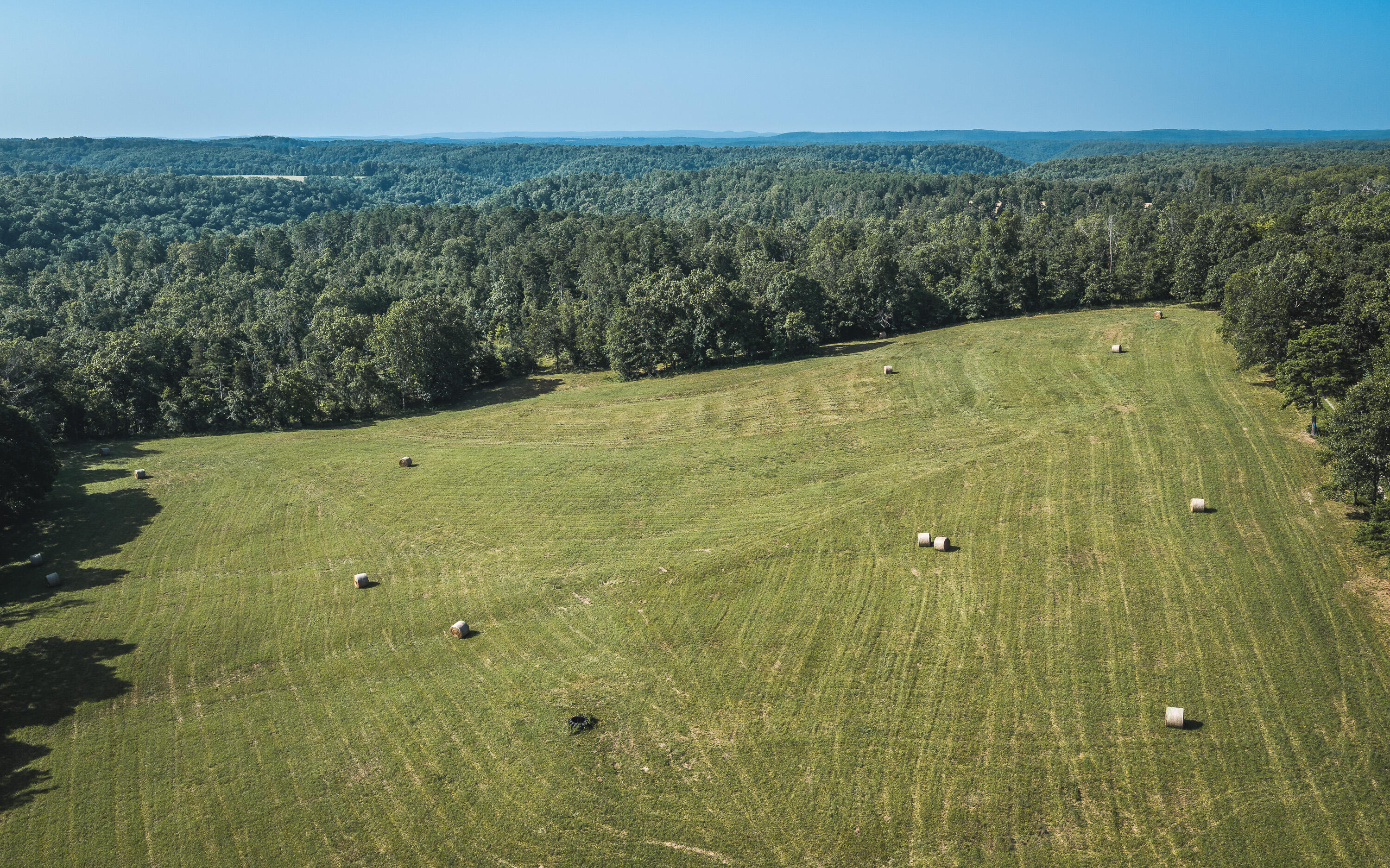 Photo 4 - Land for sale – Tract 3  Private Drive  Norwood, MO