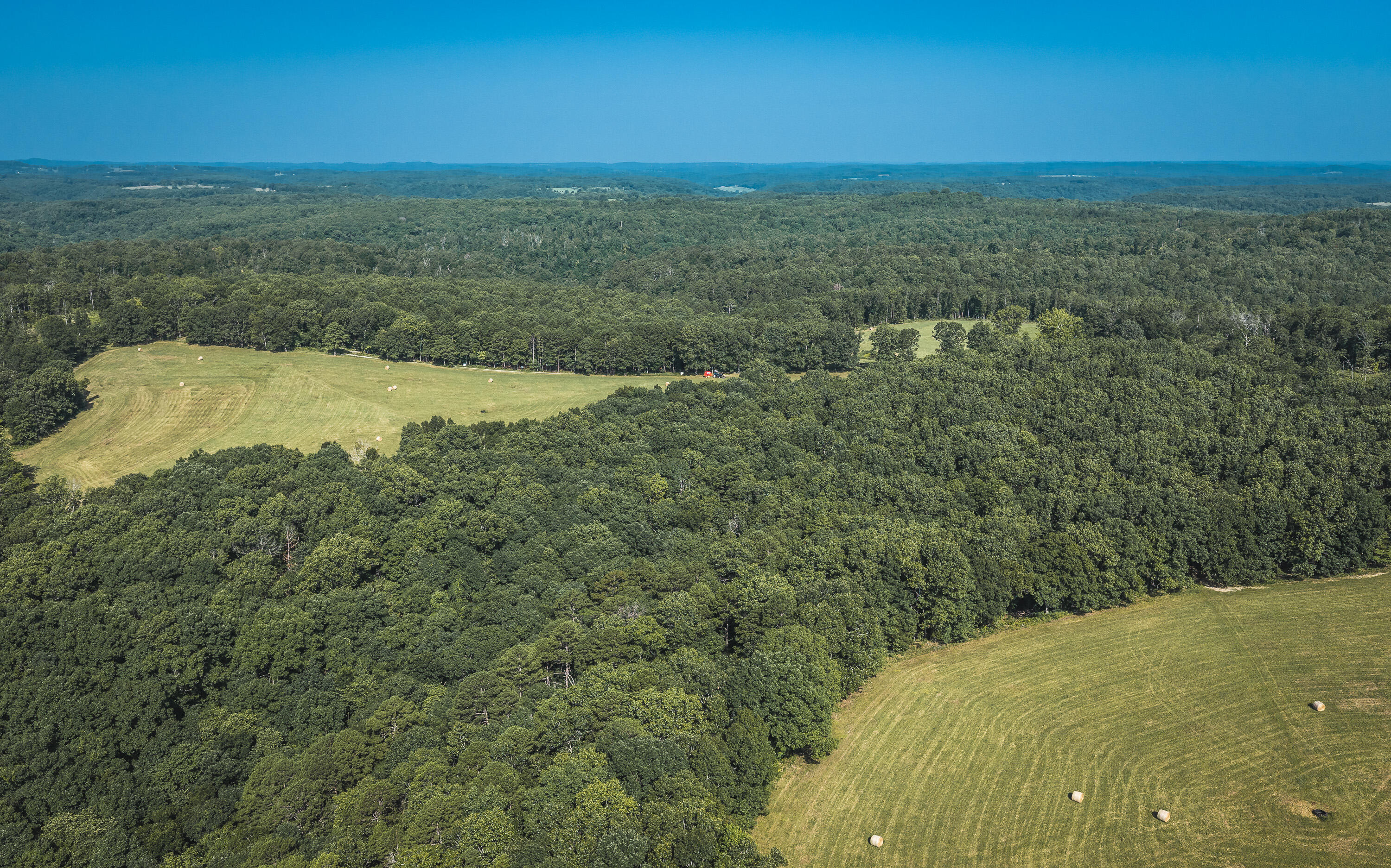 Photo 6 - Land for sale – Tract 3  Private Drive  Norwood, MO