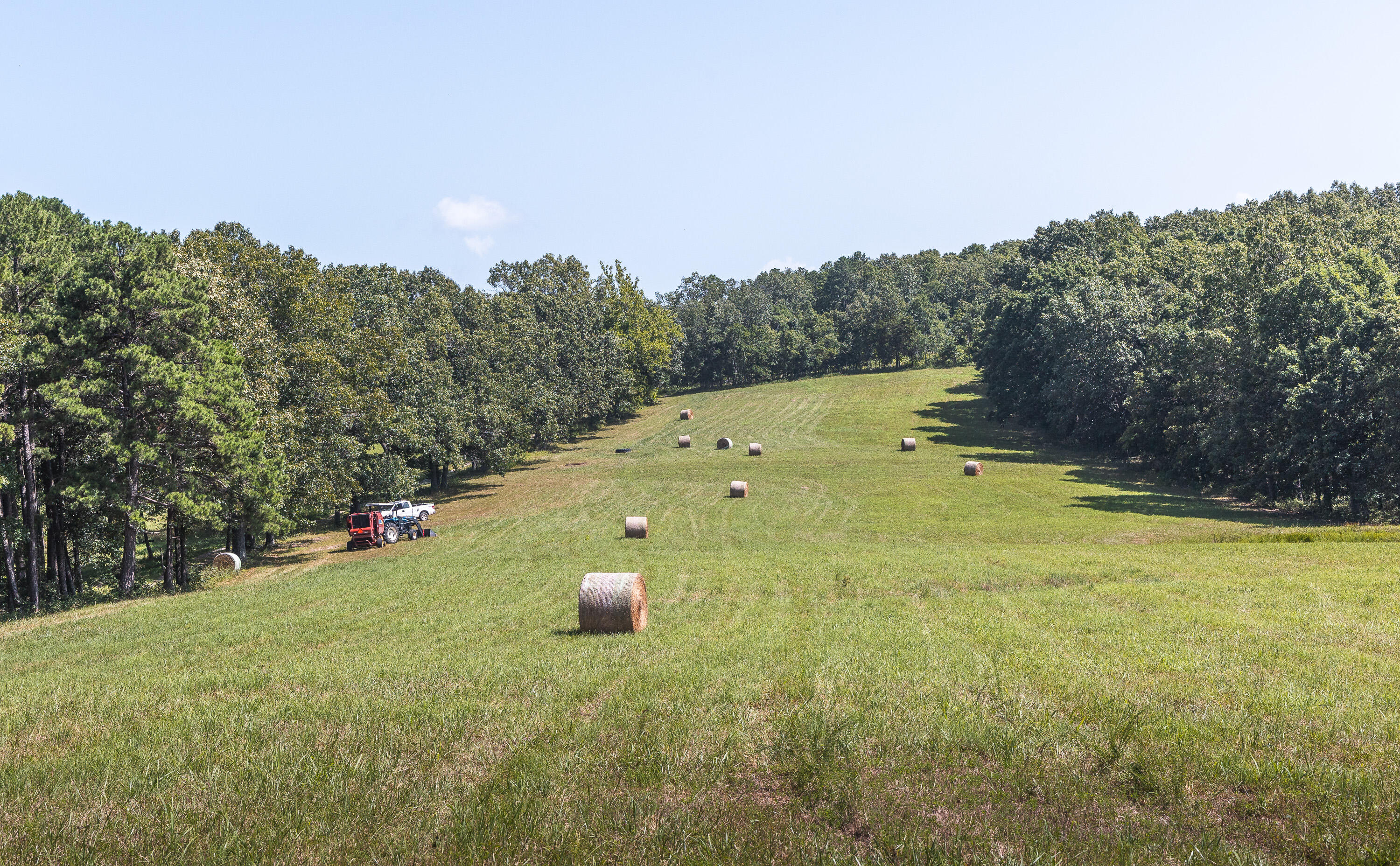 Photo 10 - Land for sale – Tract 3  Private Drive  Norwood, MO