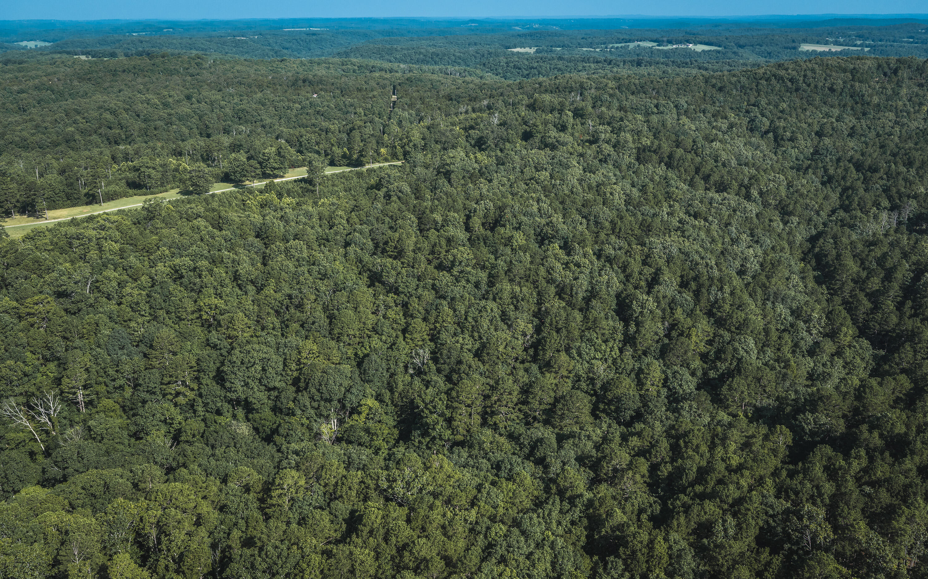 Photo 2 - Land for sale – Tract 4  Private Drive  Norwood, MO