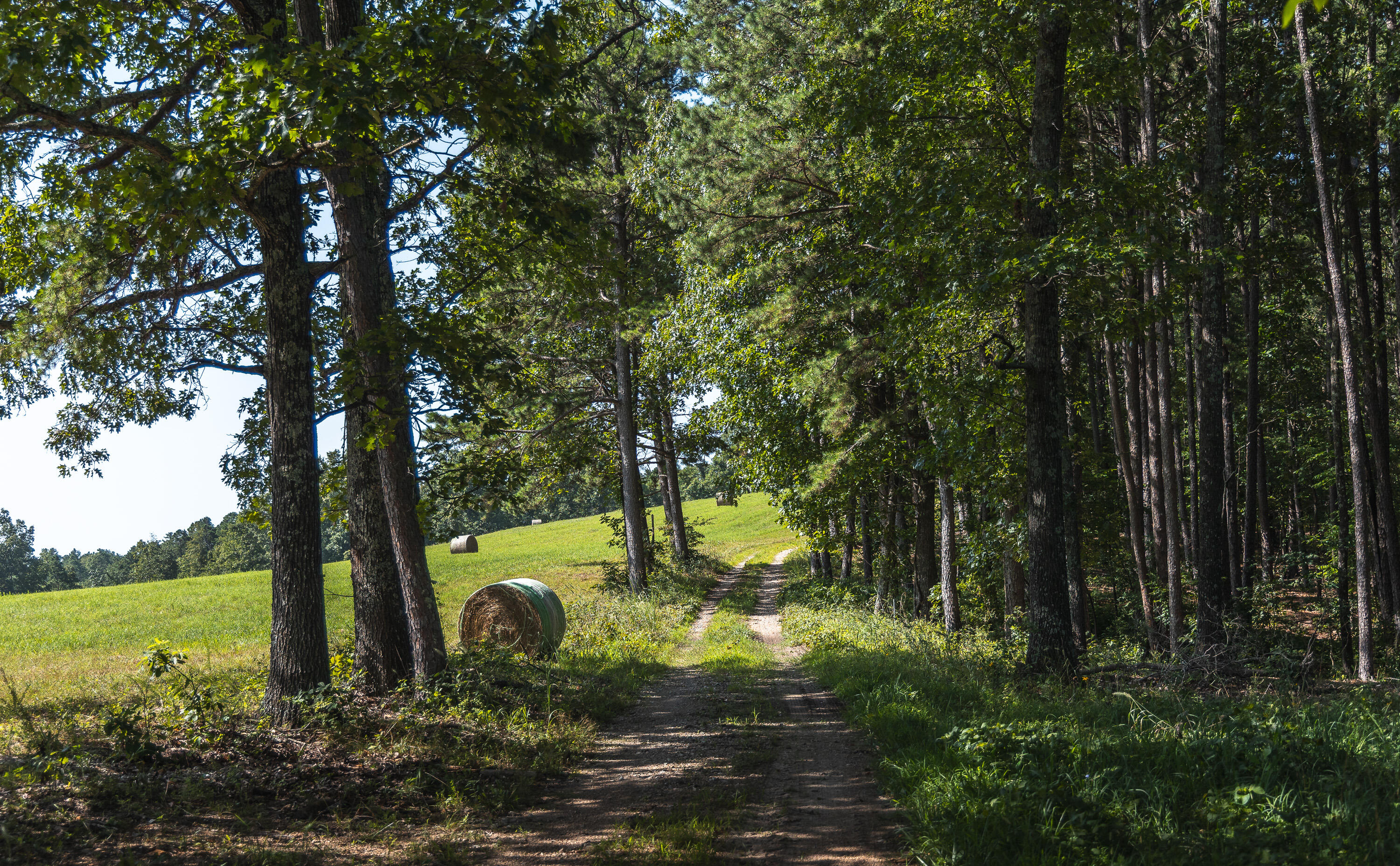 Land for sale – Tract 4  Private Drive  Norwood, MO