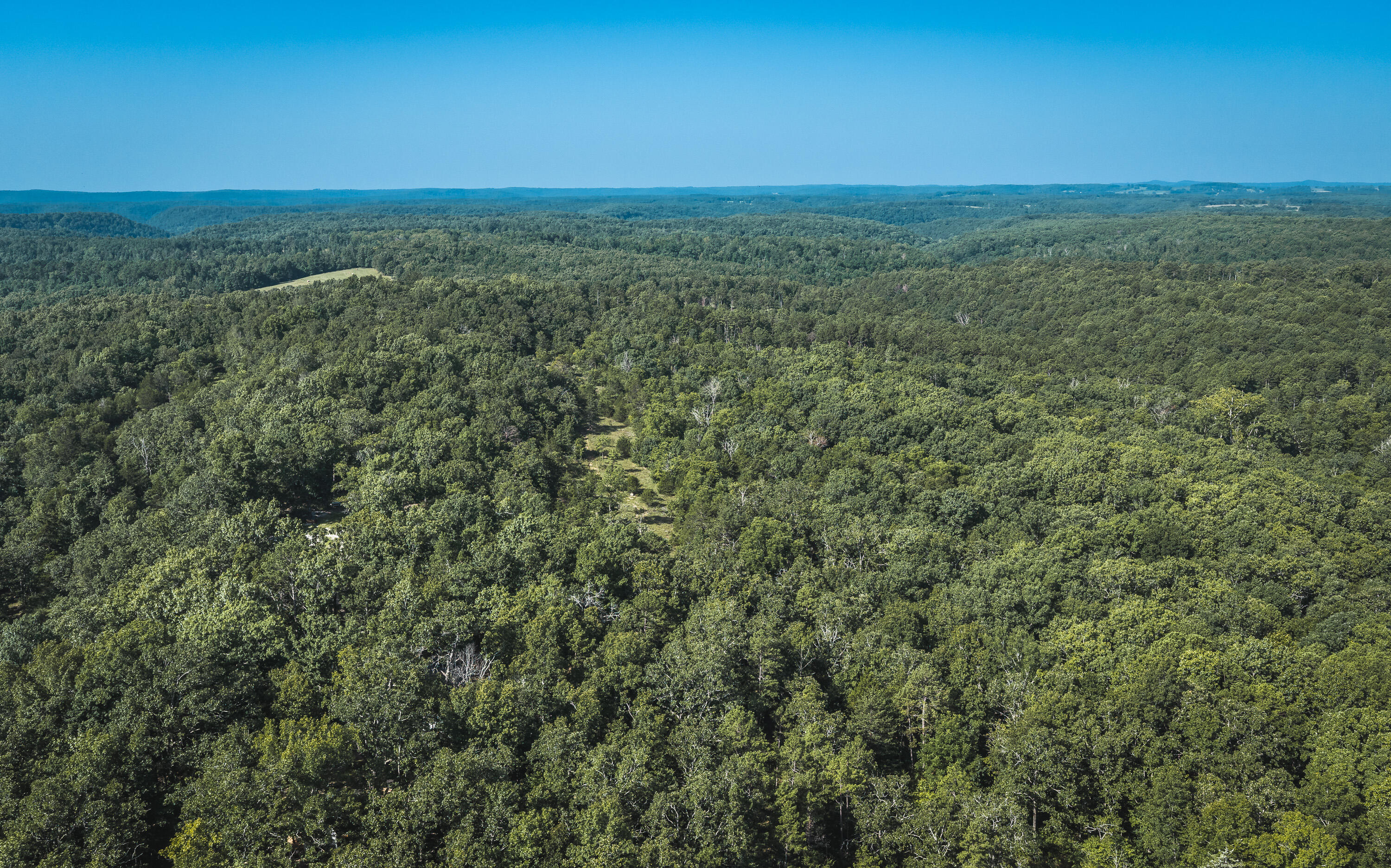 Photo 3 - Land for sale – Tract 4  Private Drive  Norwood, MO