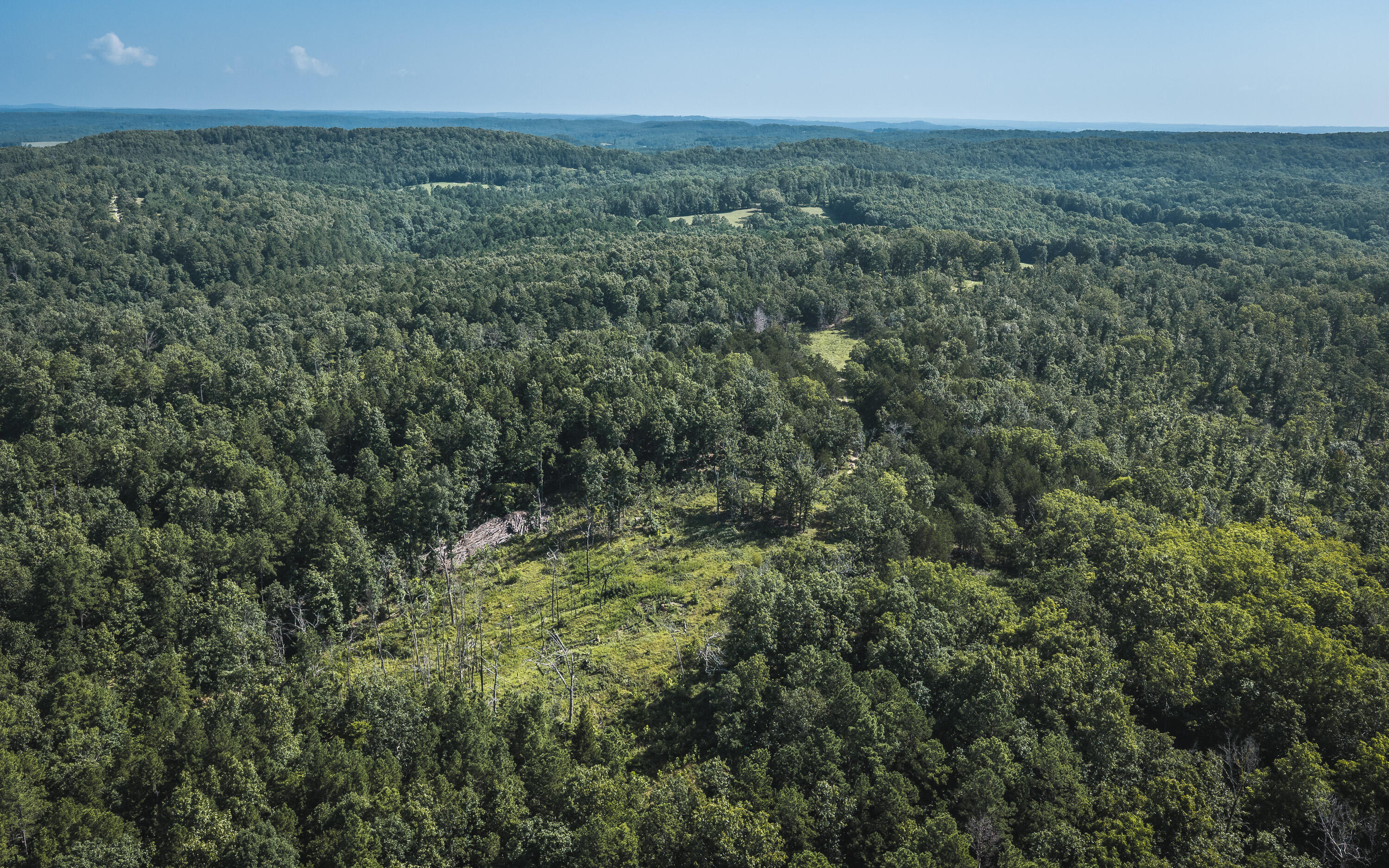 Photo 5 - Land for sale – Tract 4  Private Drive  Norwood, MO