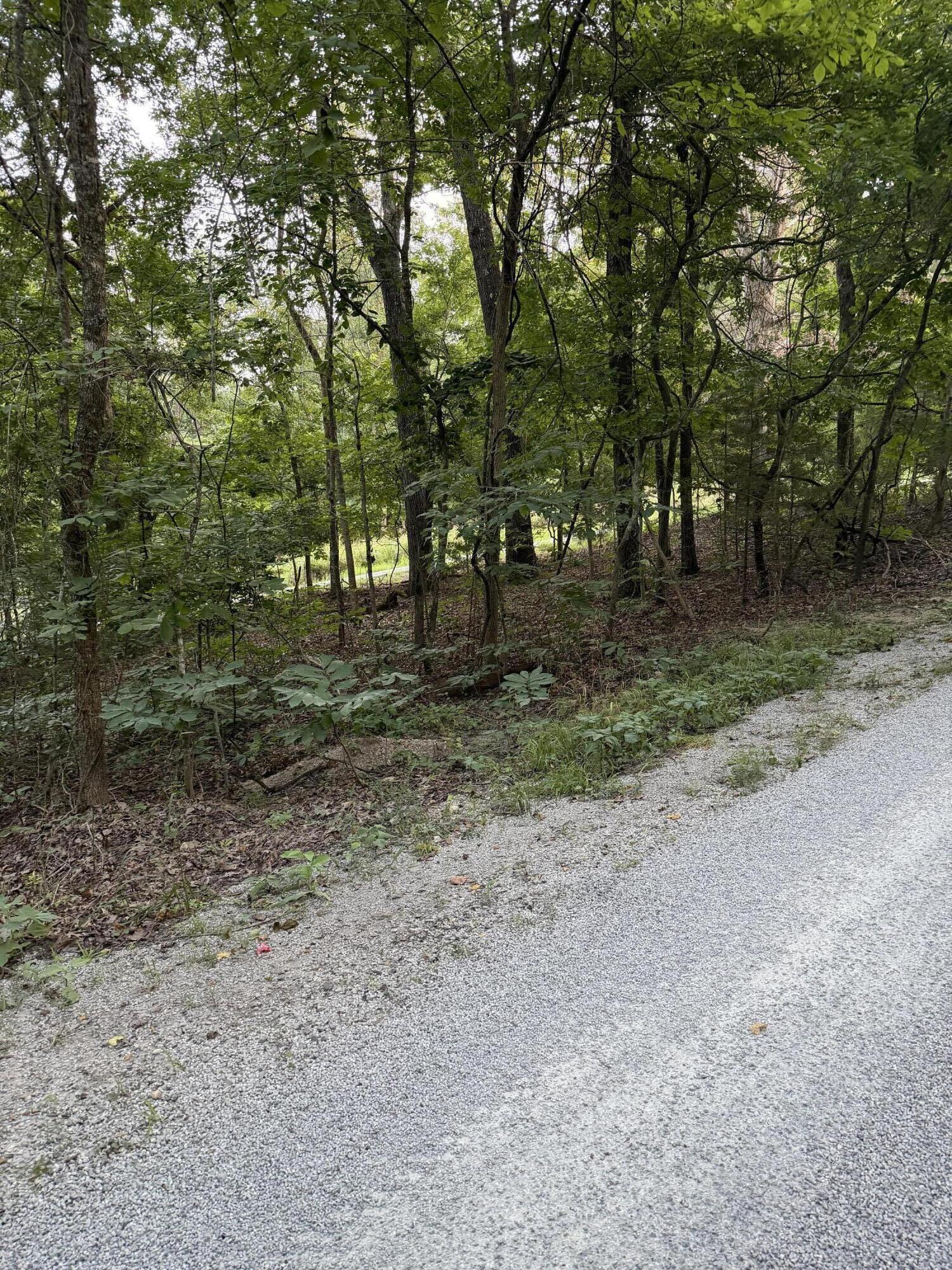 Land for sale – Tbd  Chiefs Lane  Shell Knob, MO